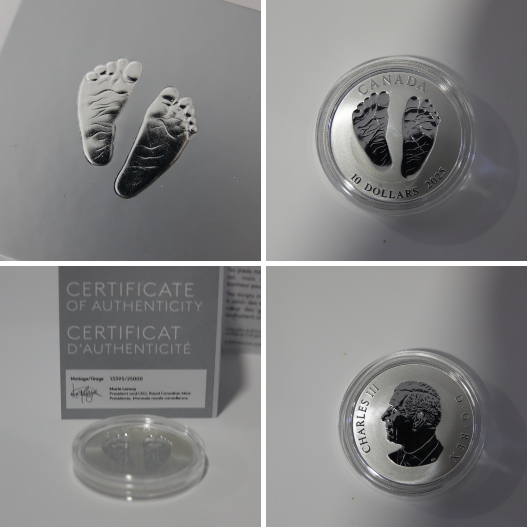 2025 10 dollar fine silver coin - welcome to the world.png