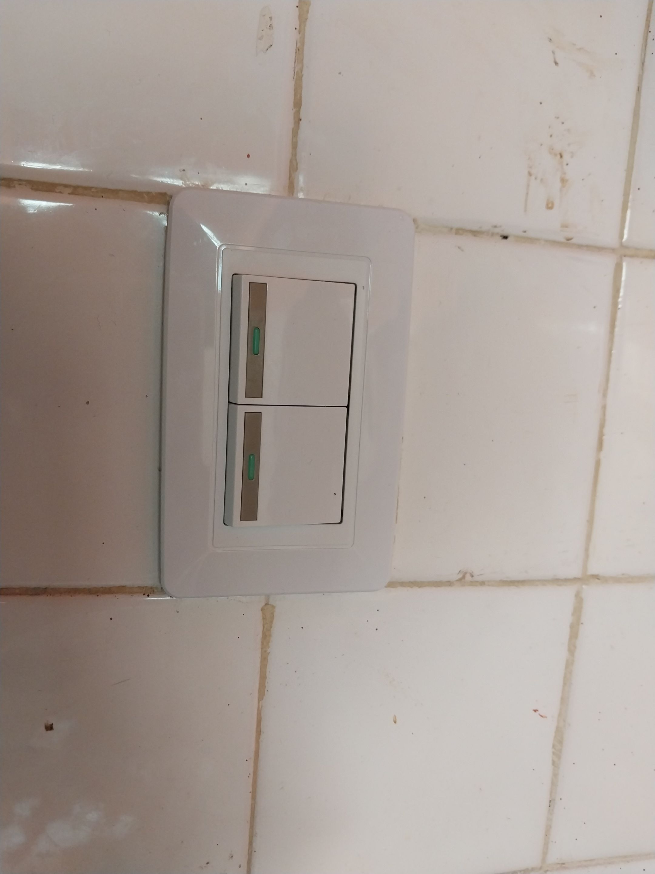 20250609_155245.jpg