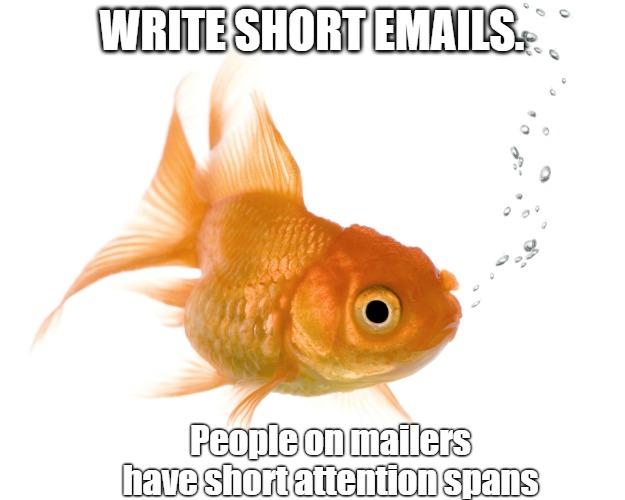 short-emails.jpg
