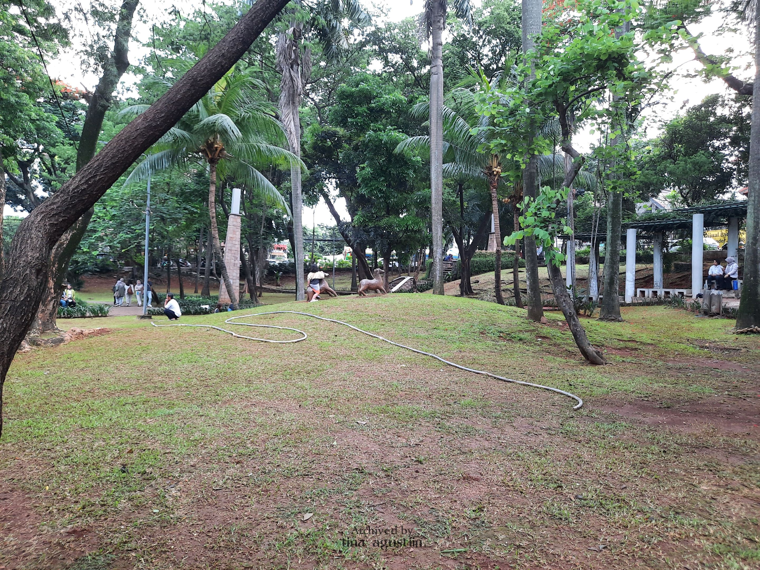 20241221_172354.jpg