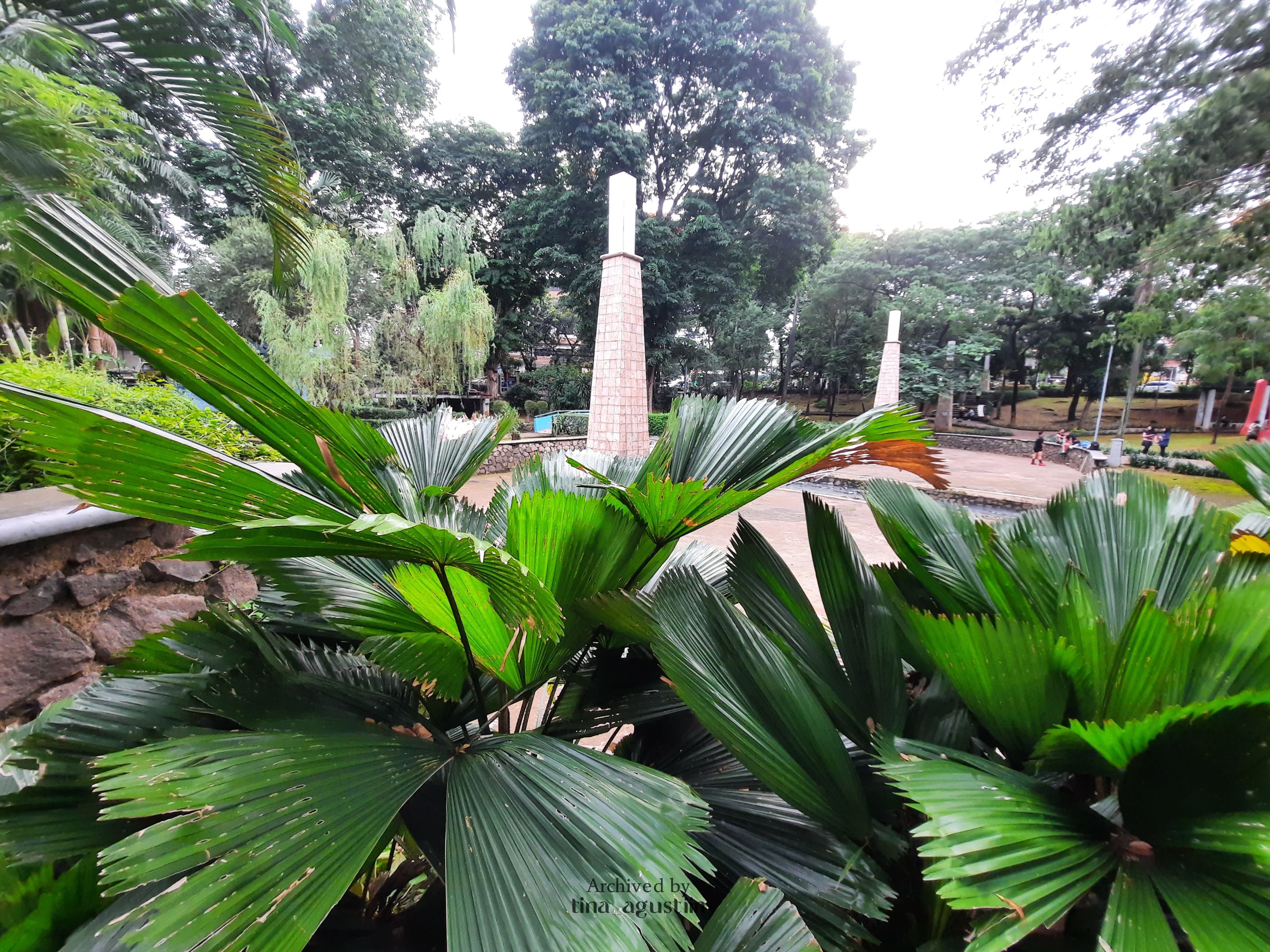 20241221_171911.jpg