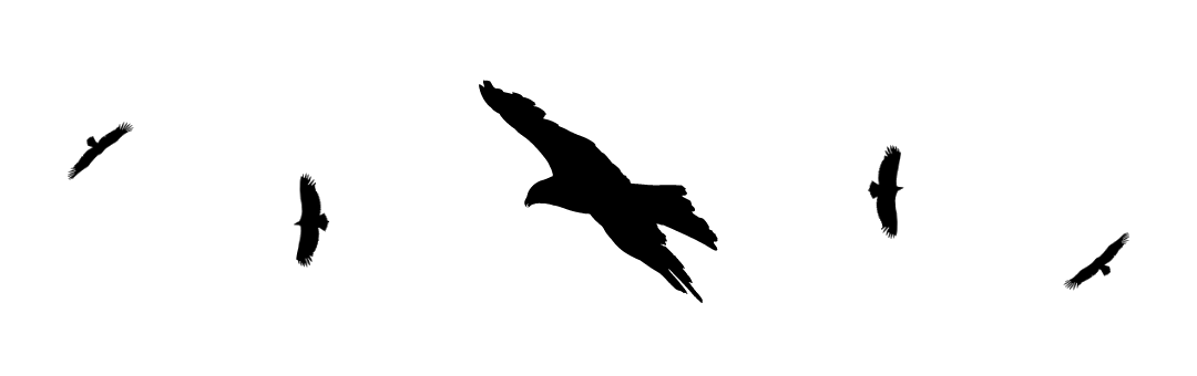 Tinta en.png