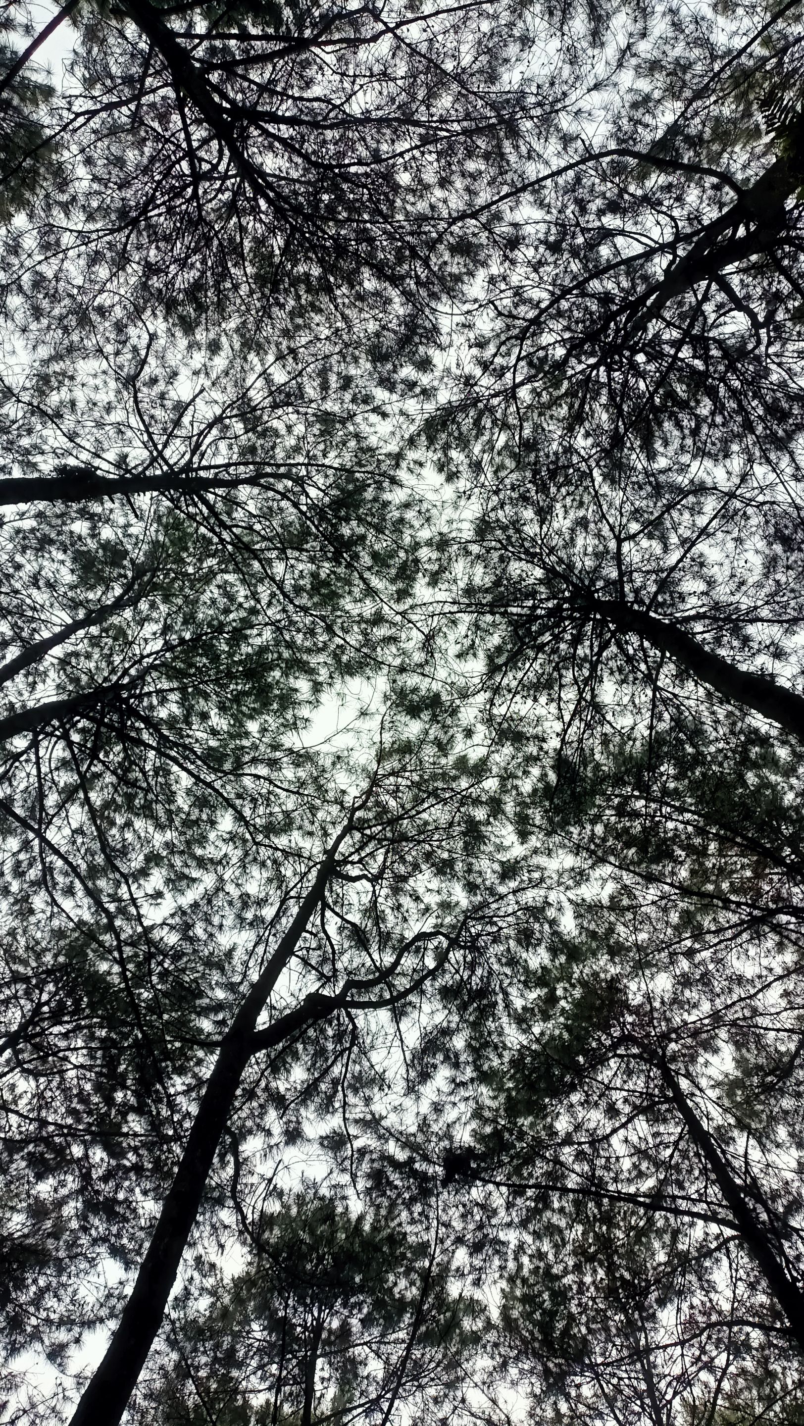 IMG20250410153931.jpg