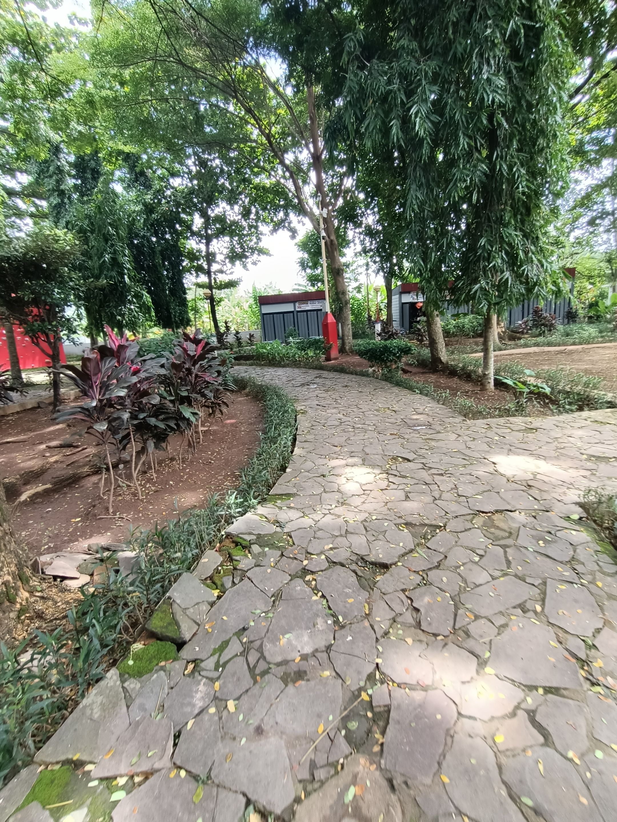 IMG20241211112017.jpg