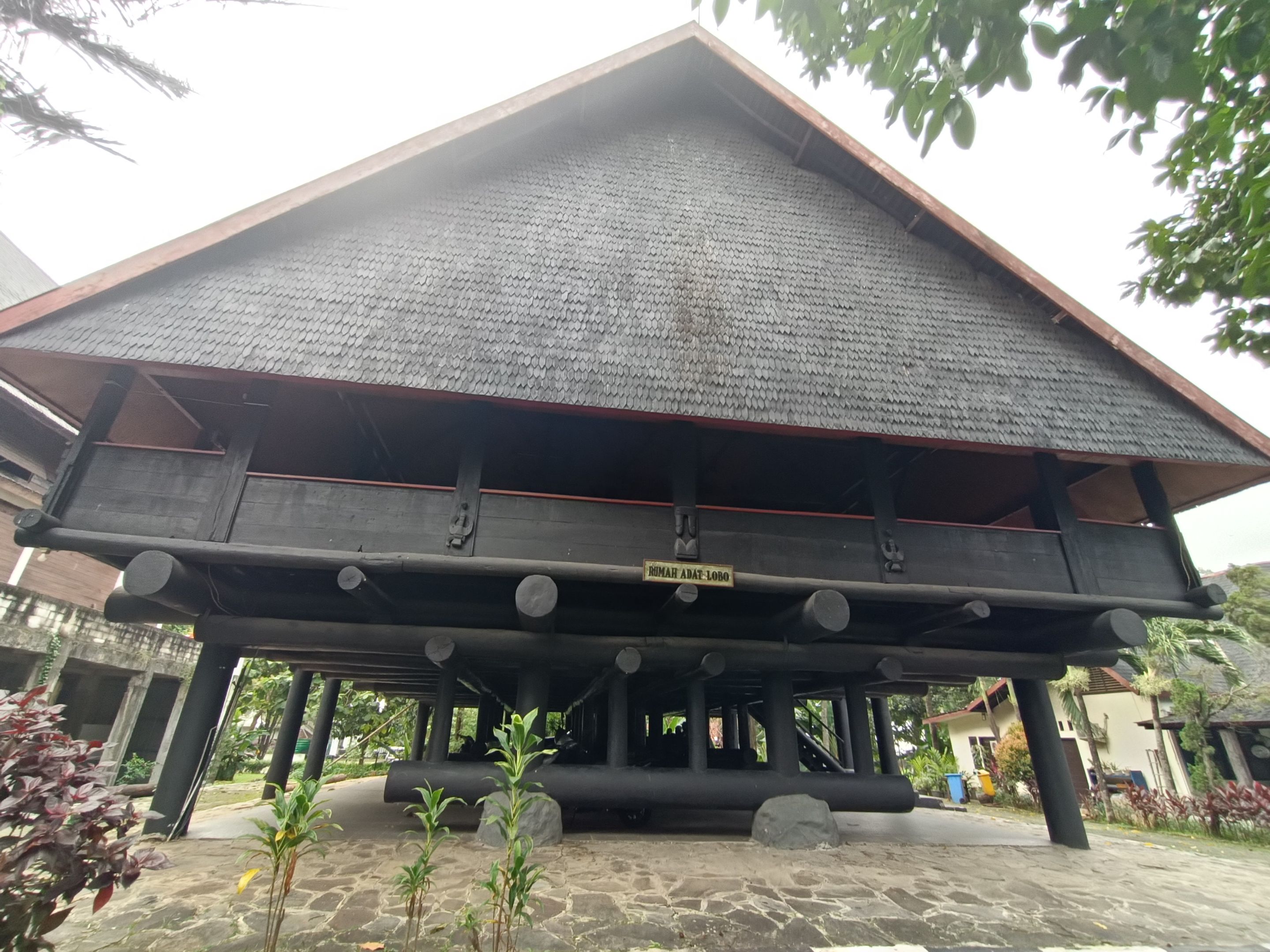 IMG20240417161335.jpg