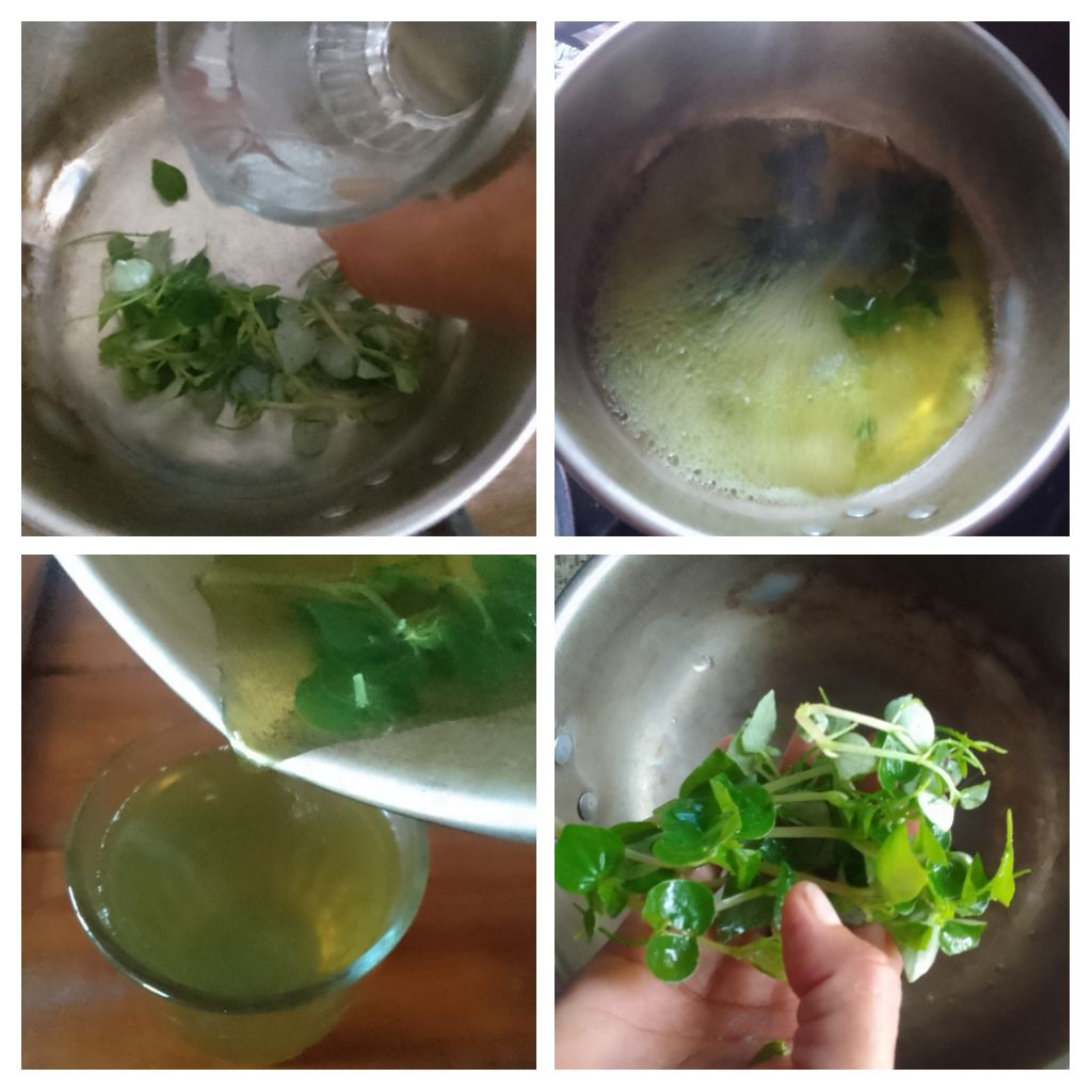 IMG_20250201_093354-COLLAGE.jpg