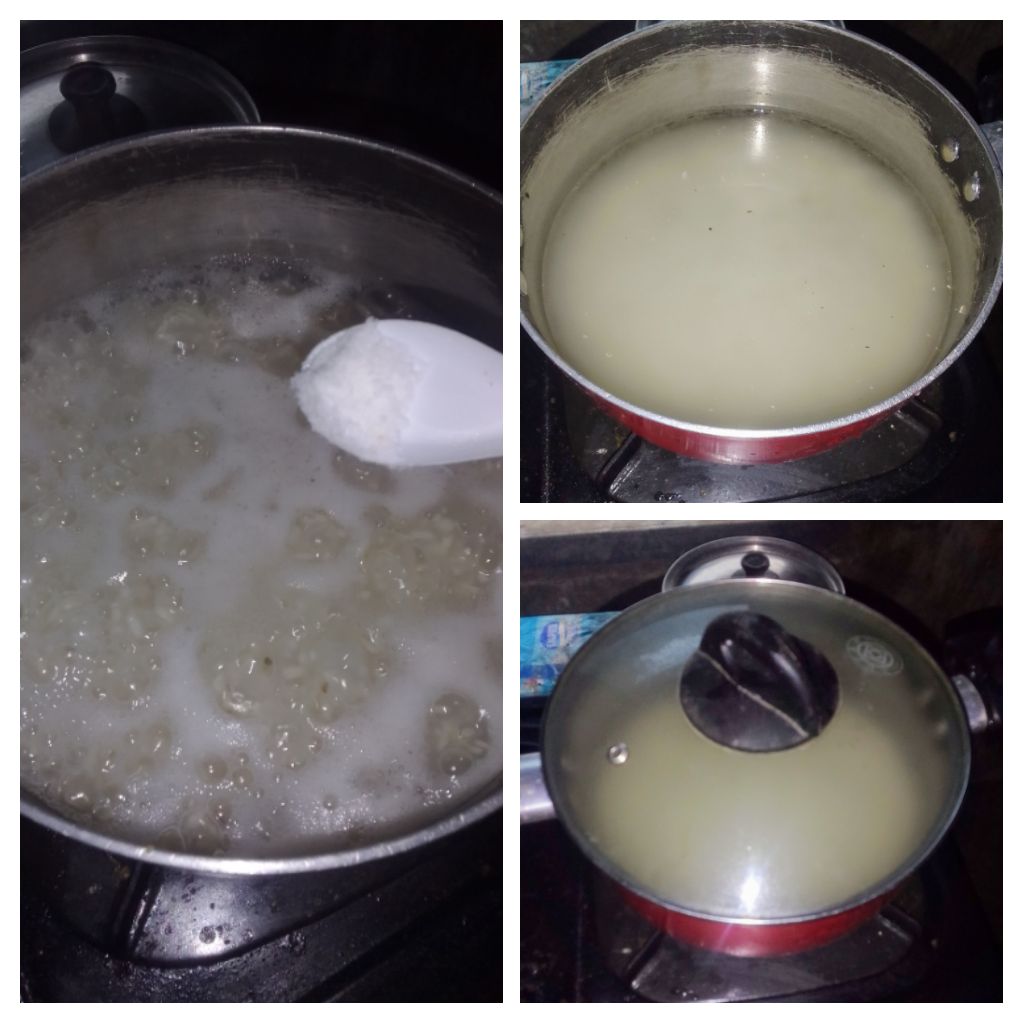 IMG_20250124_160515-COLLAGE.jpg