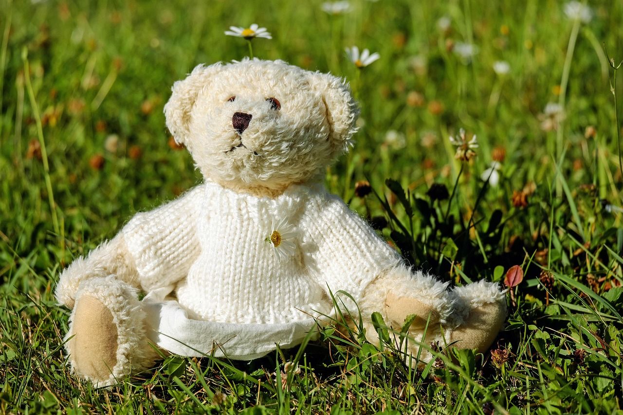 teddy-1623436_1280.jpg