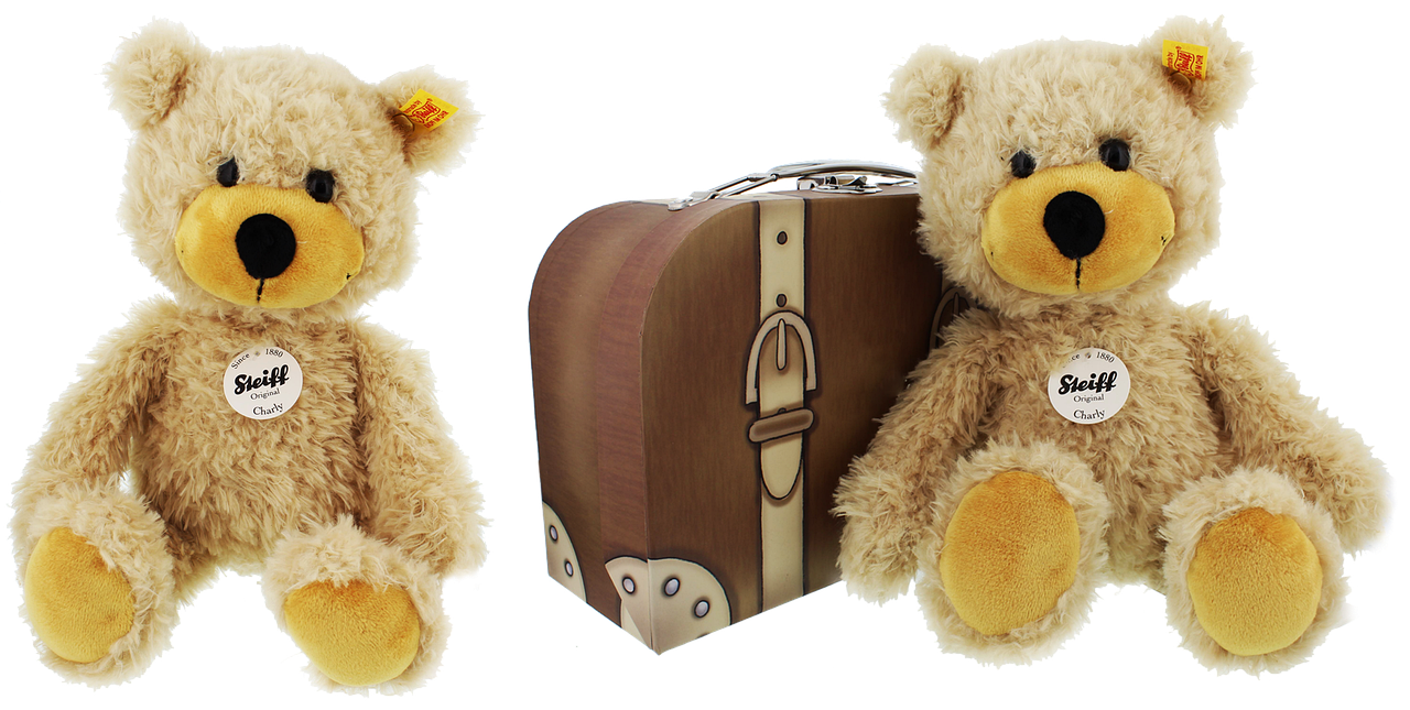 teddy-2850880_1280.webp.png
