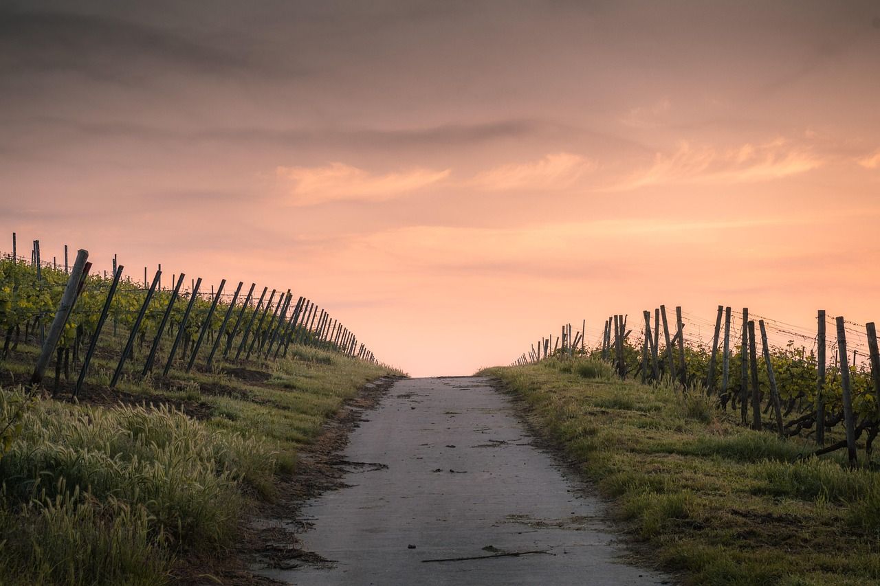 crops-1835847_1280.jpg