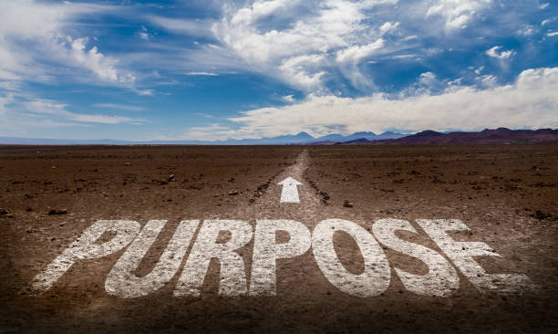 istockphoto-817553430-612x612.jpg