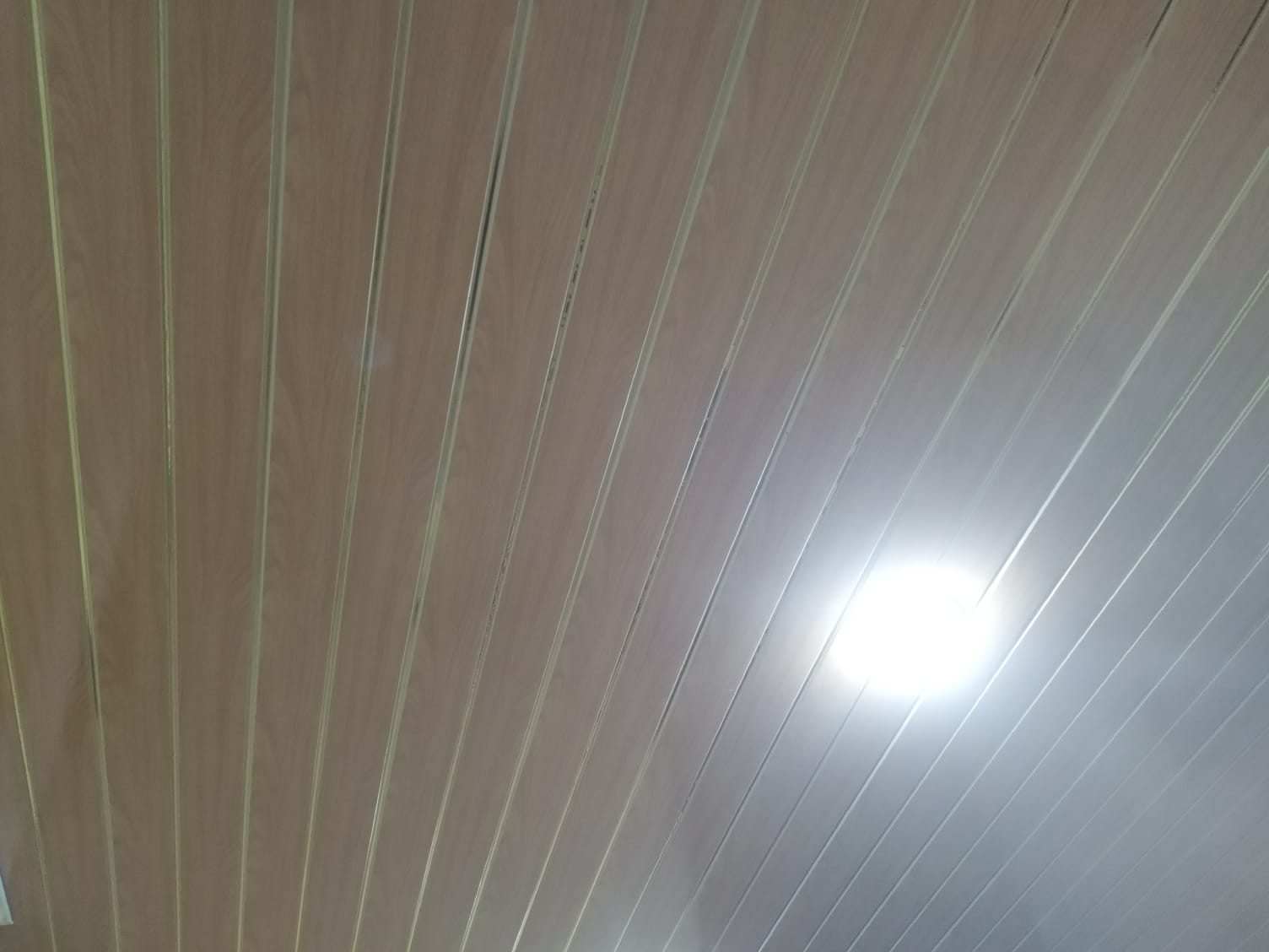 EoK6HtWZ6wsgauFhTofD6e1JFj92kbrqHiGdnw4wyFeDcwi7GCshNe5ENxBGP8rX9E6.jpeg