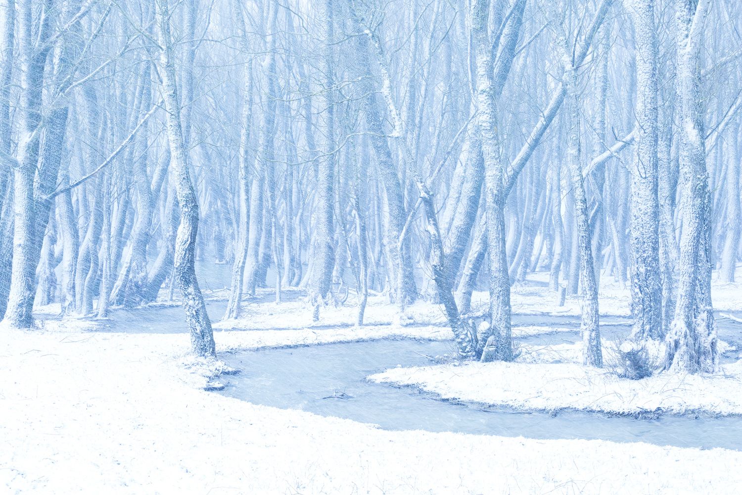 parco-nazionale-dabruzzo-winter-landscape.jpg
