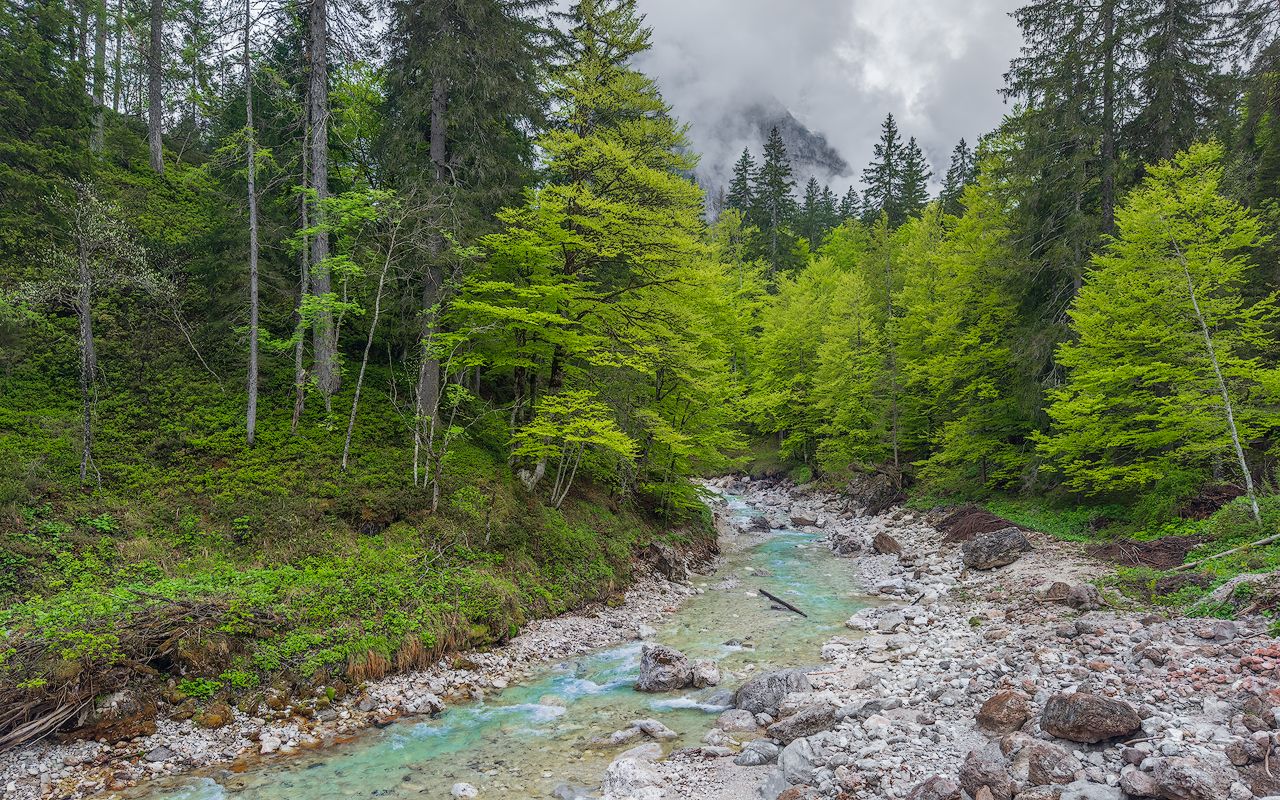 IMG_0468 copy.jpg