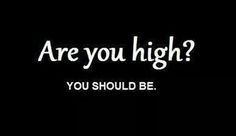 fcc44e46008d41d94fee40fbcabc4893--weed-quotes-stay-high.jpg