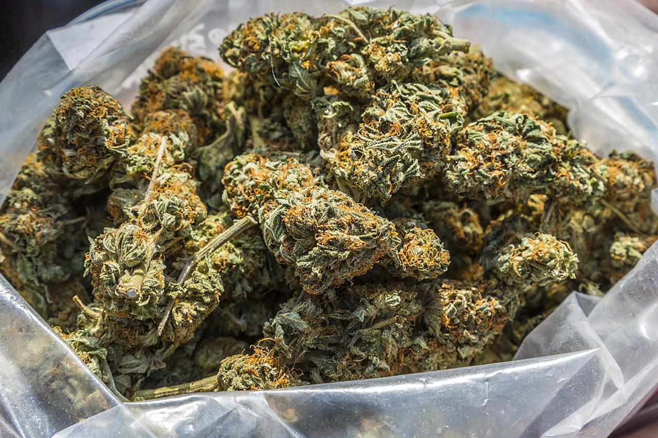 marijuana-454601963-resized-569fd2345f9b58eba4ad583d.jpg