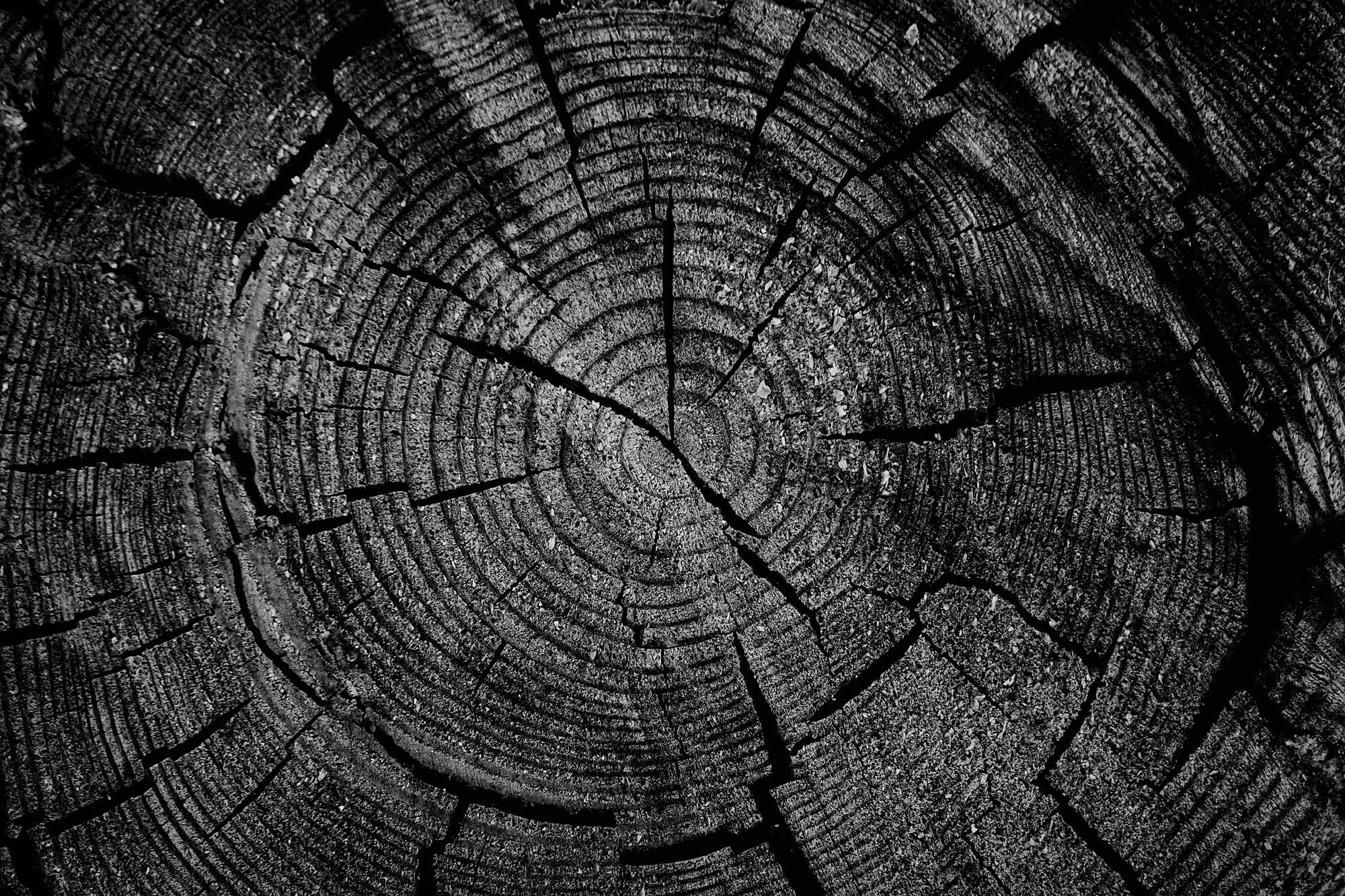 Wood3.jpg