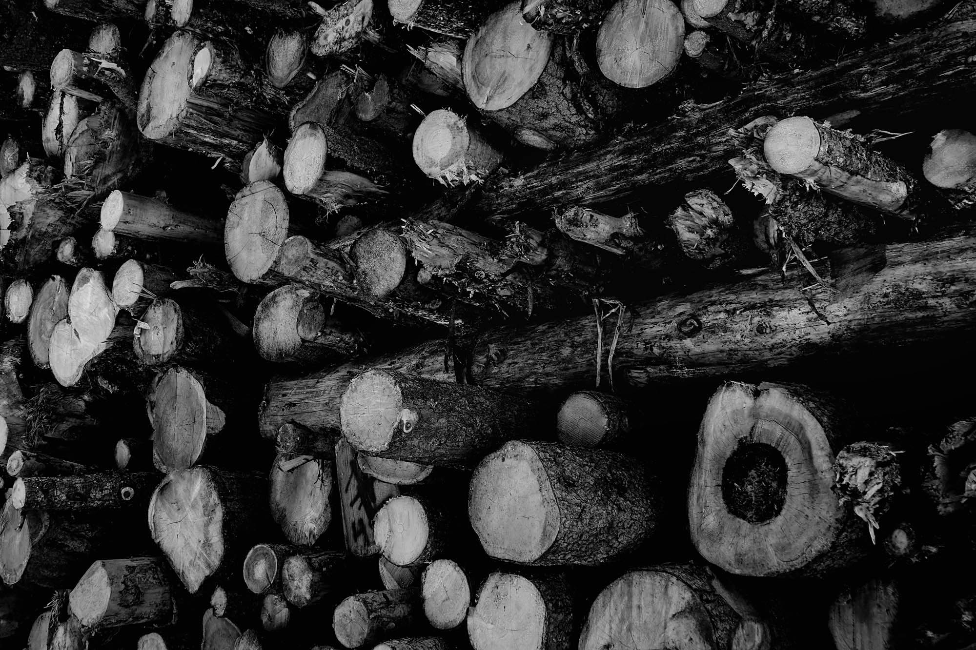 Wood6.jpg