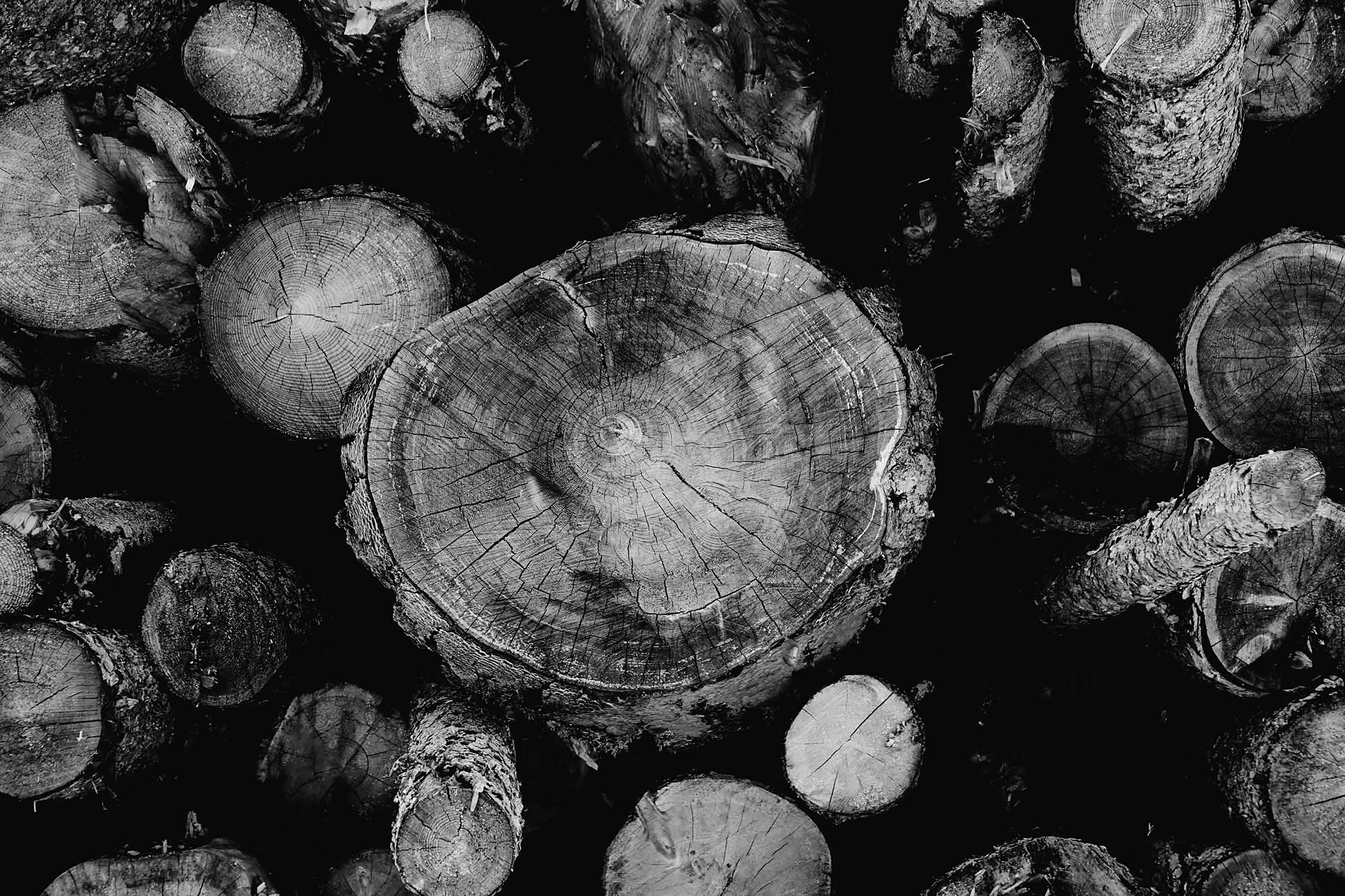 Wood1.jpg