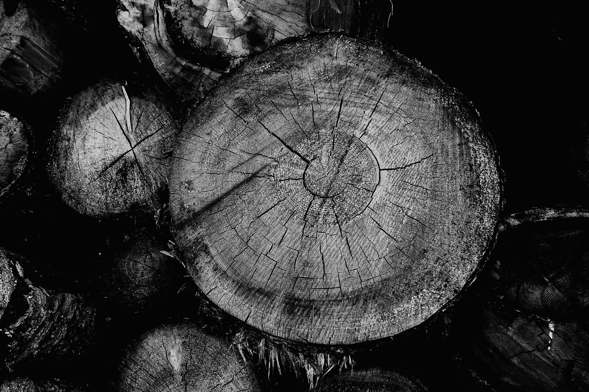 Wood5.jpg