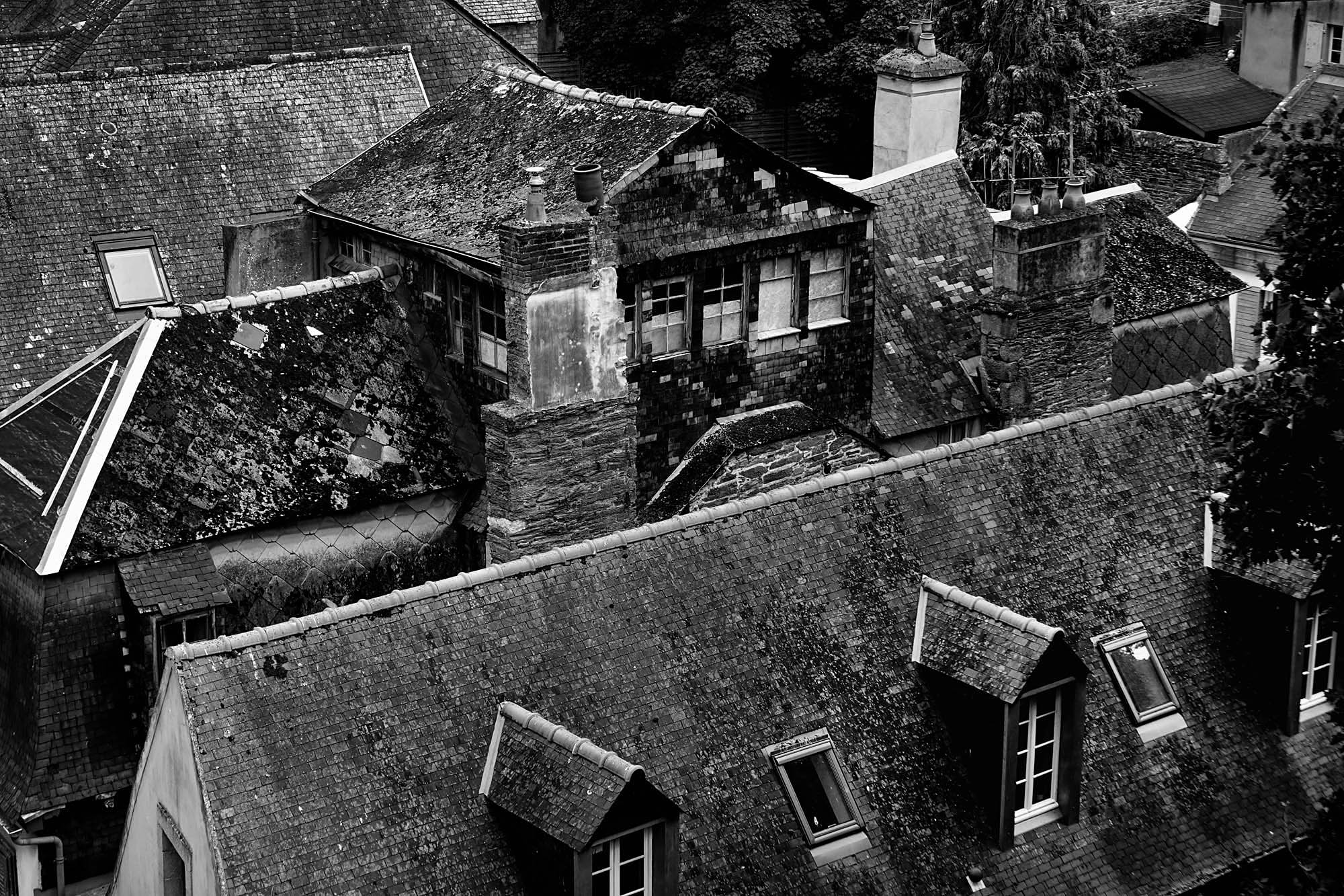 Roof4.jpg