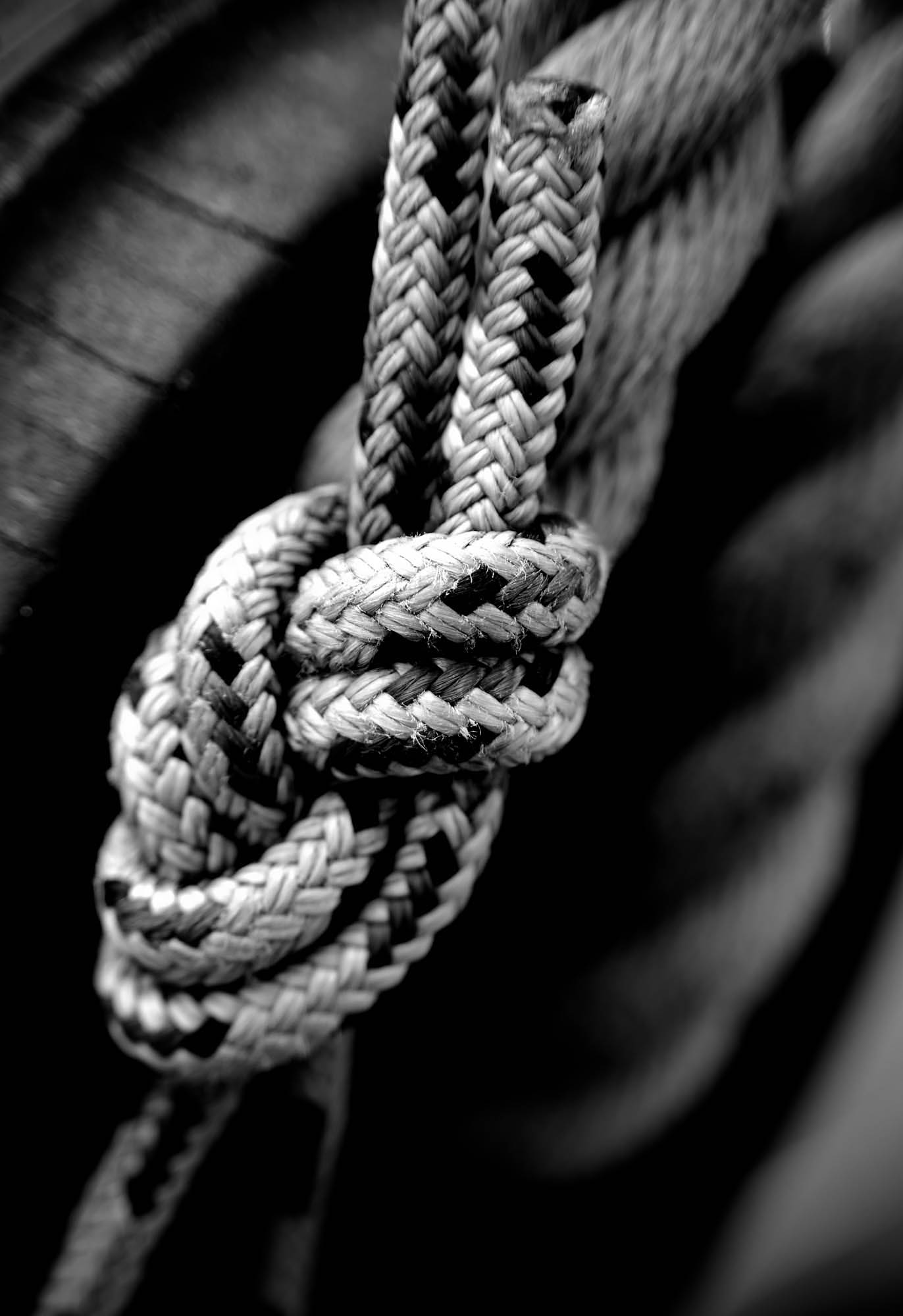 Knot4.jpg
