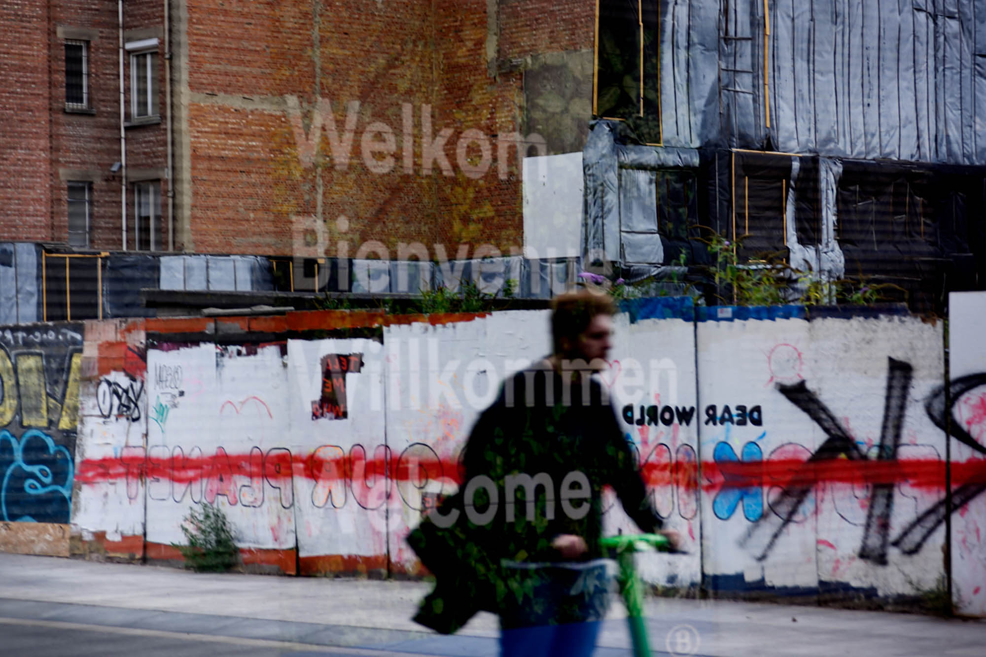 Reflection3.jpg