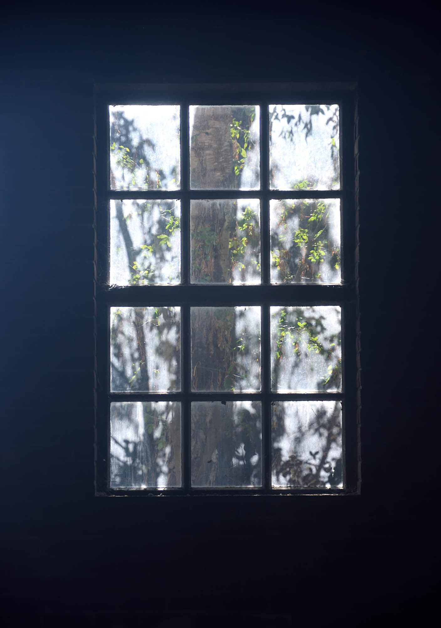 Window1.jpg