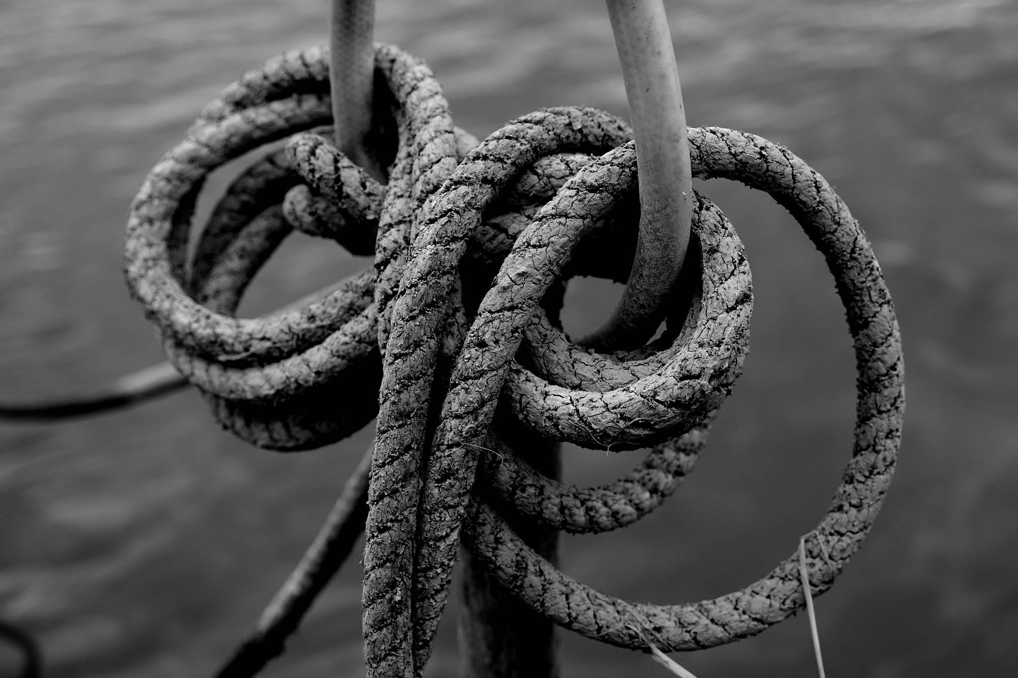 Waterfront2.jpg