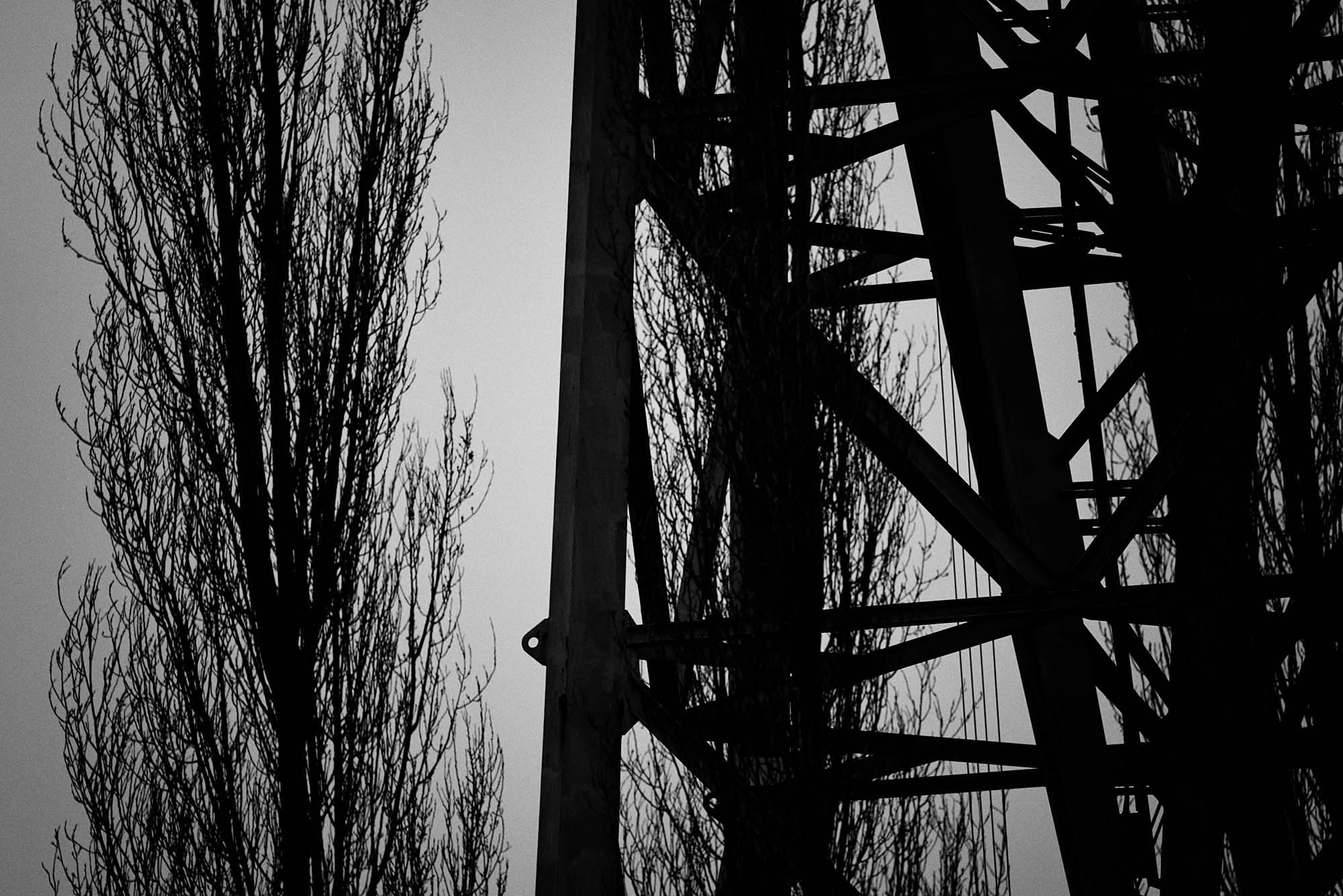 Crane5.jpg