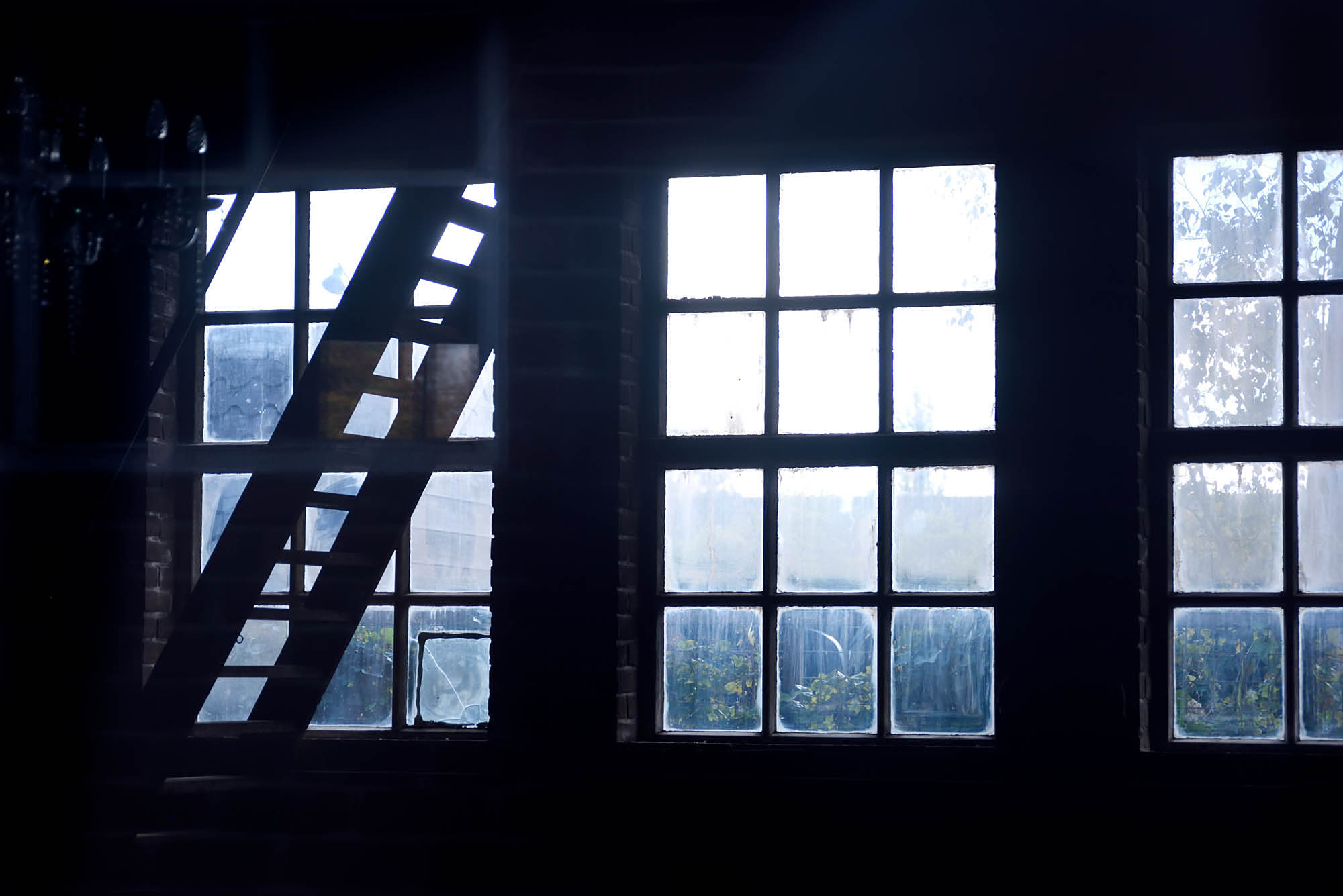 Window2.jpg