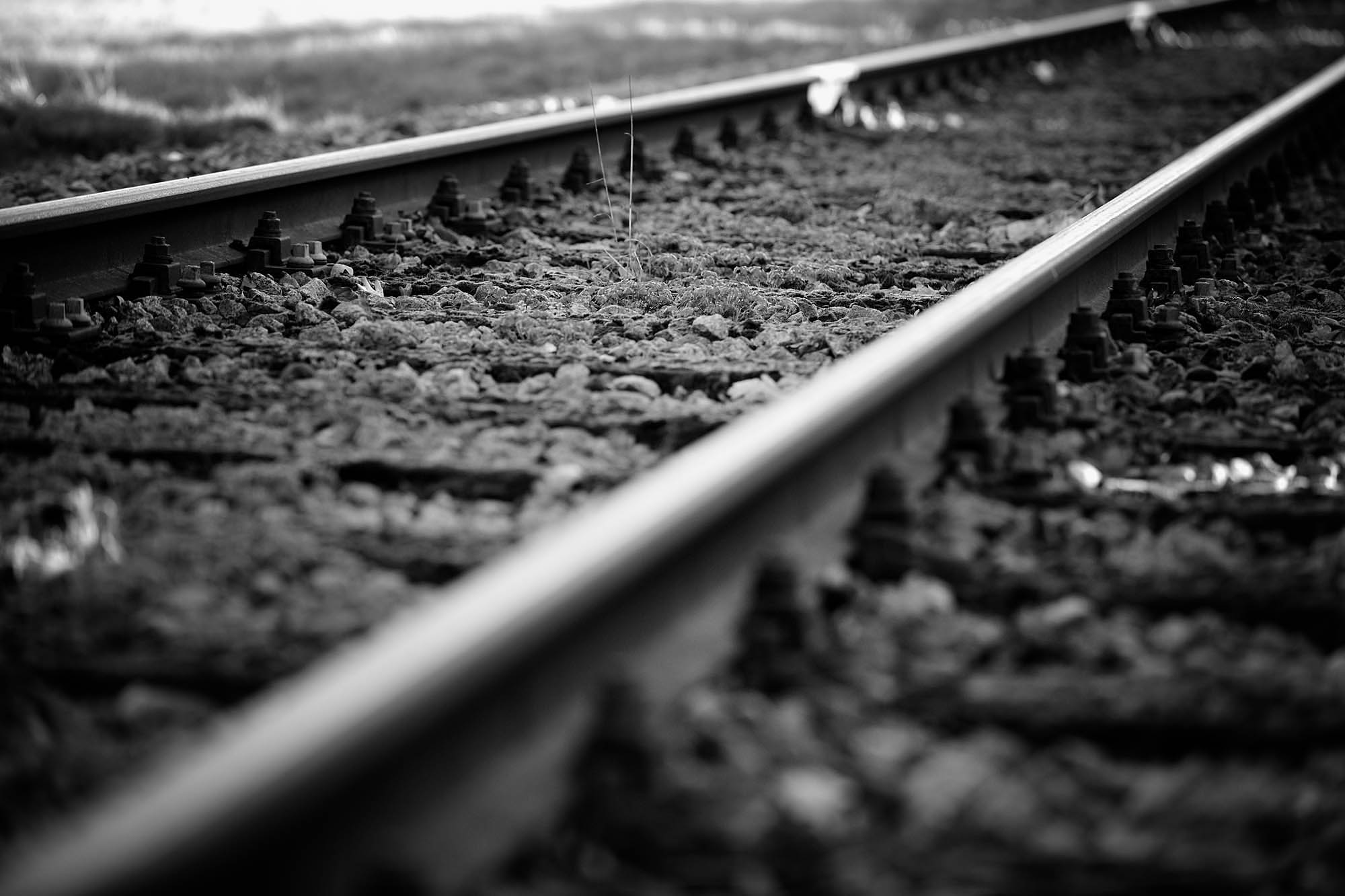 Train2.jpg