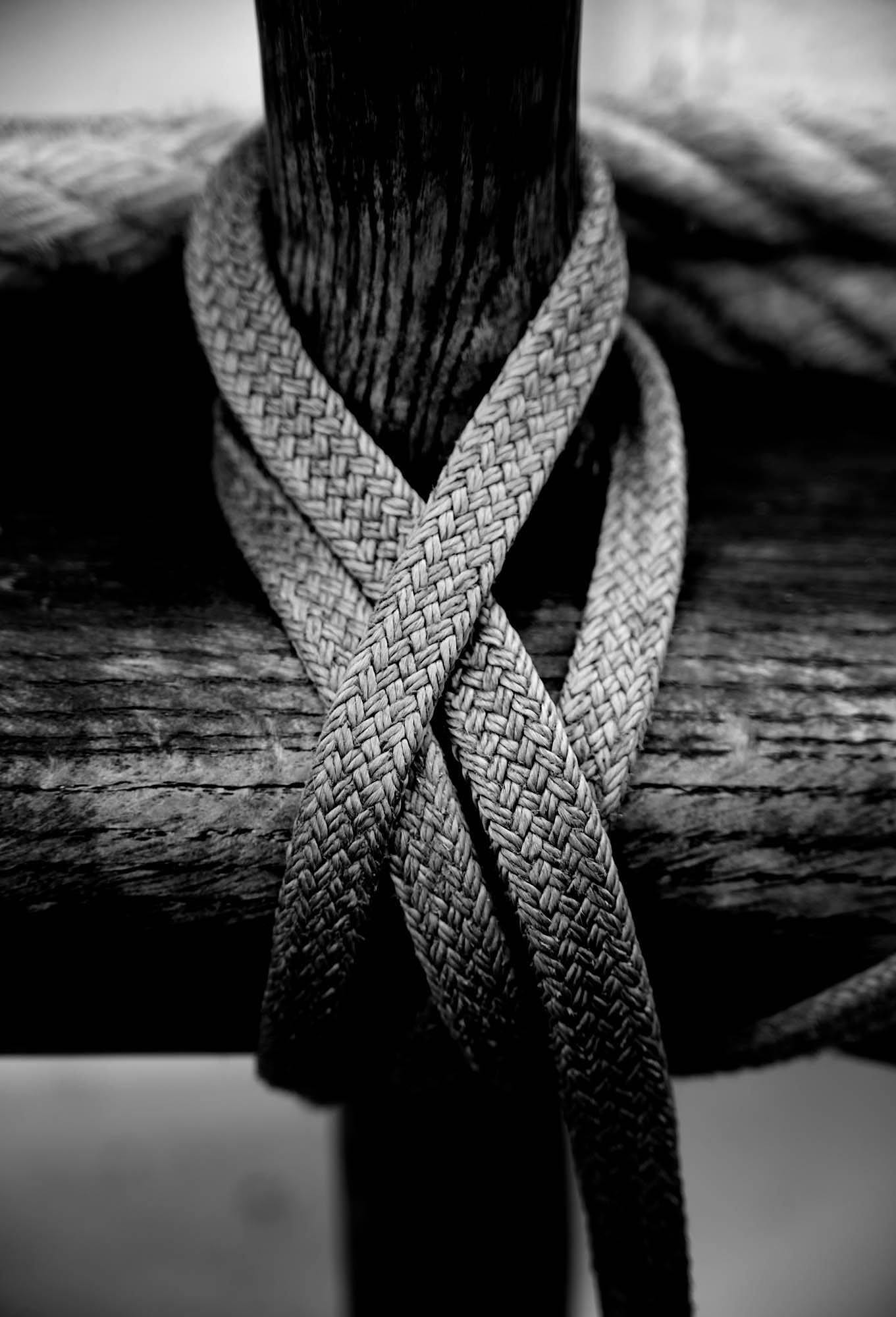 Knot2.jpg