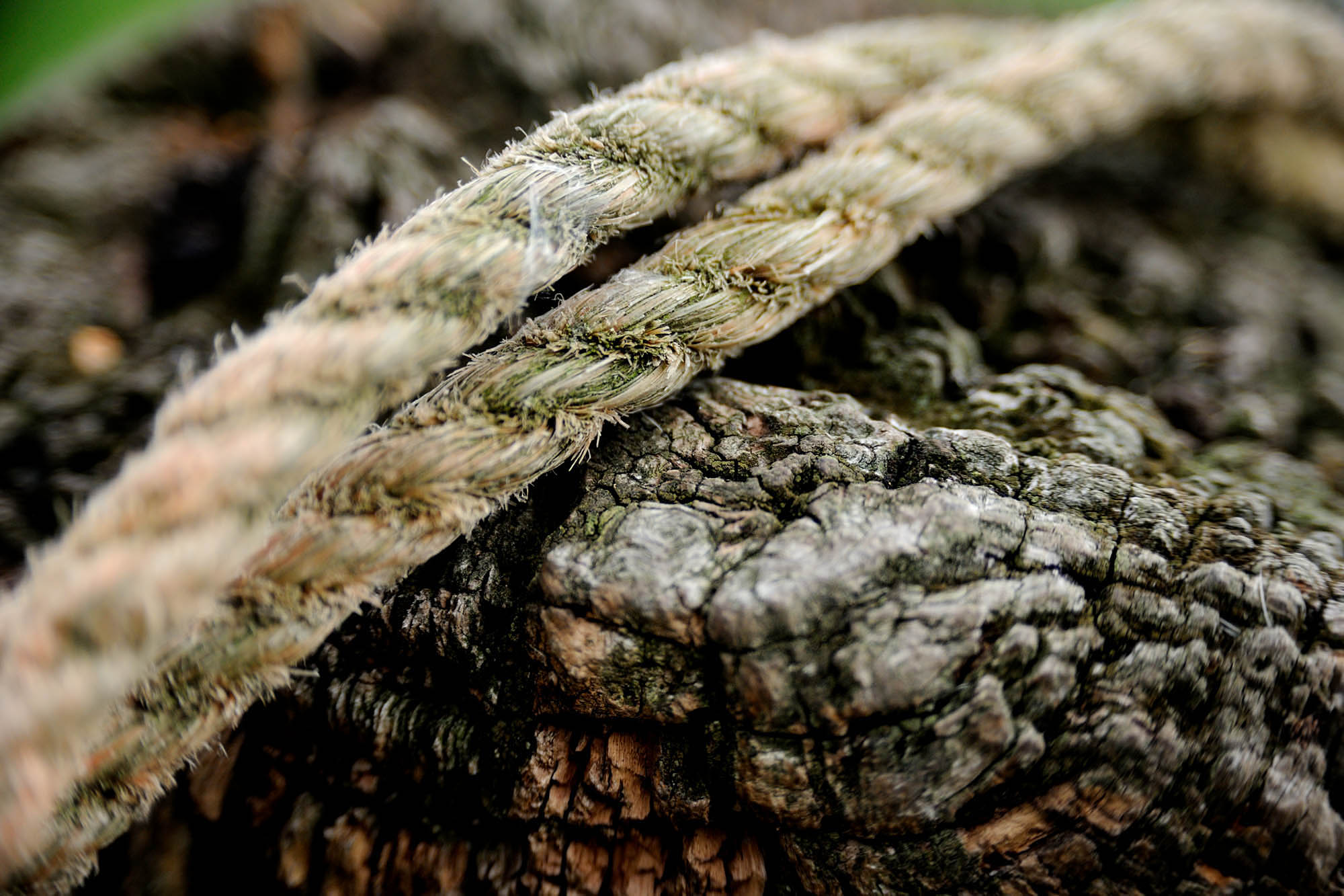 Details4.jpg