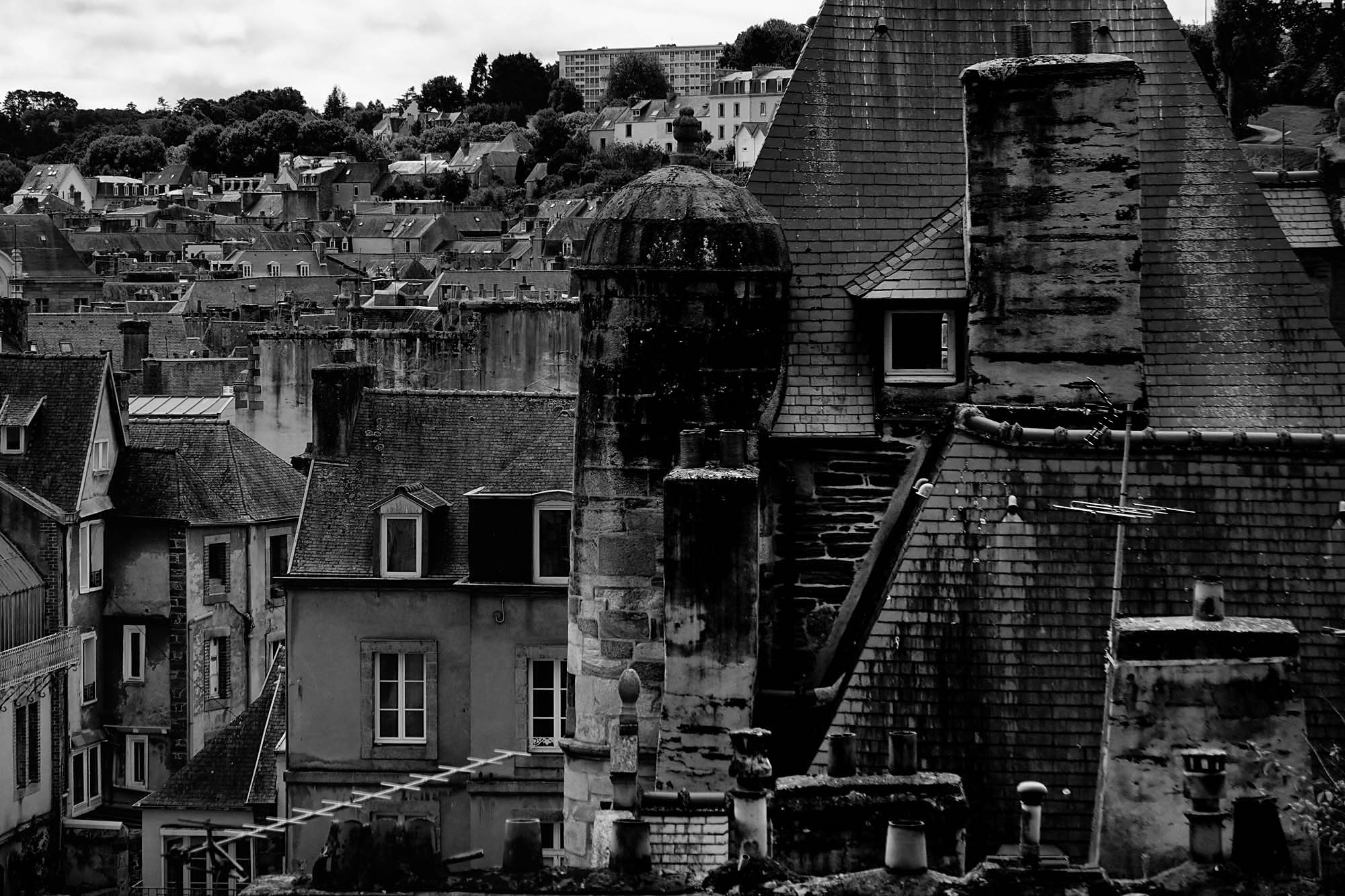 Roof3.jpg