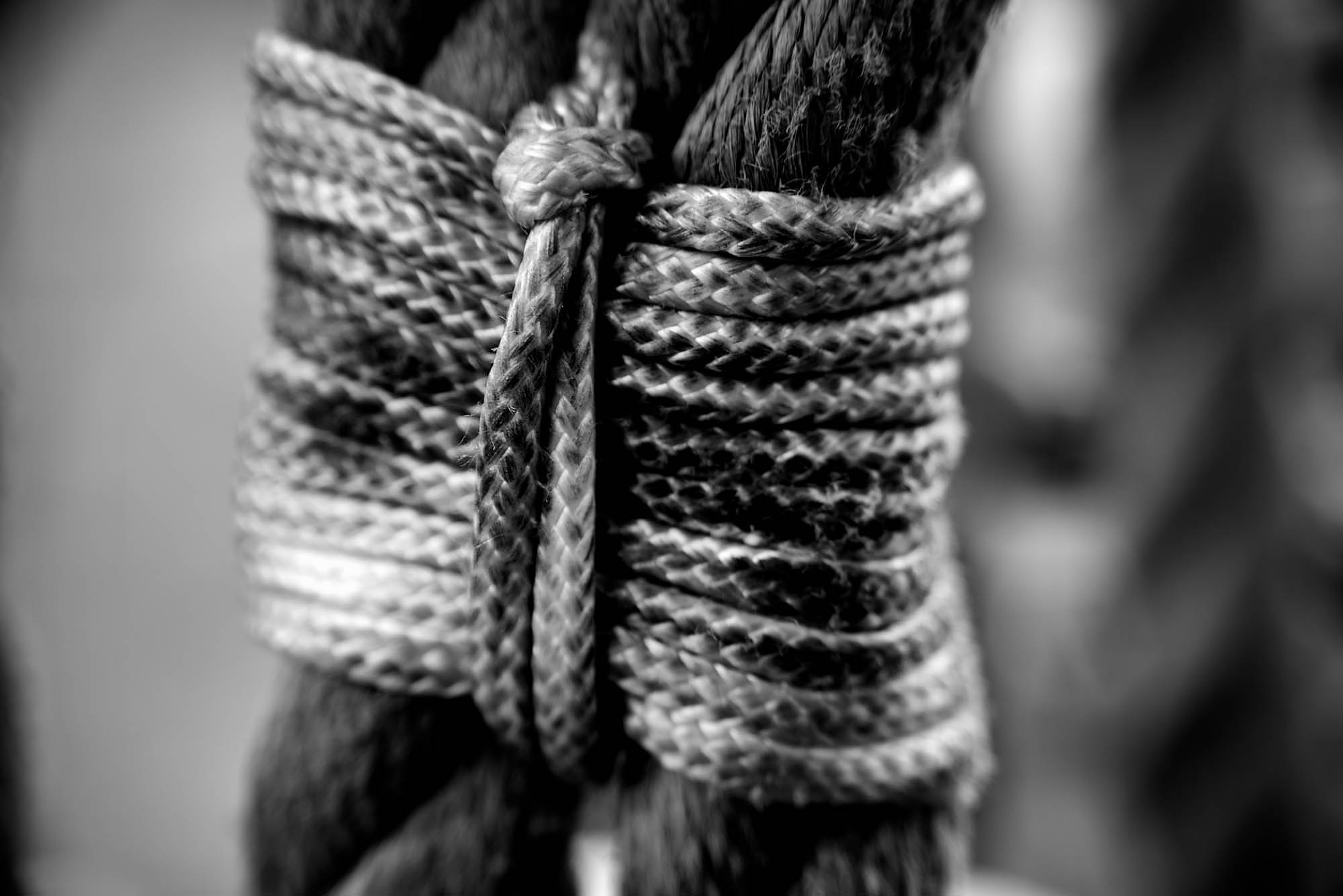 Knot1.jpg