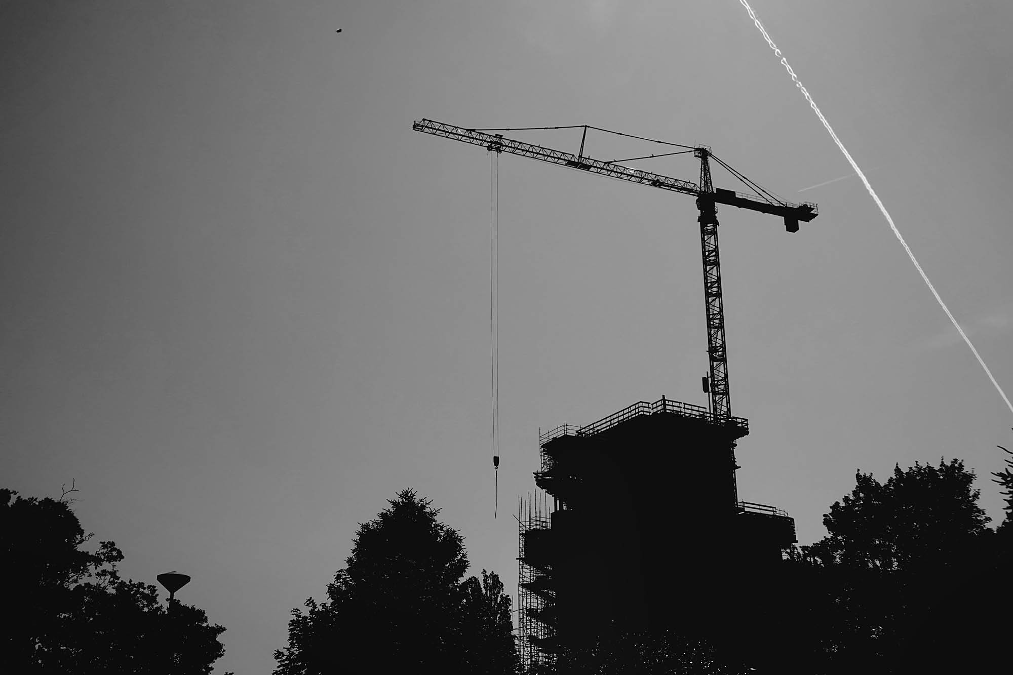 Scaffold4.jpg