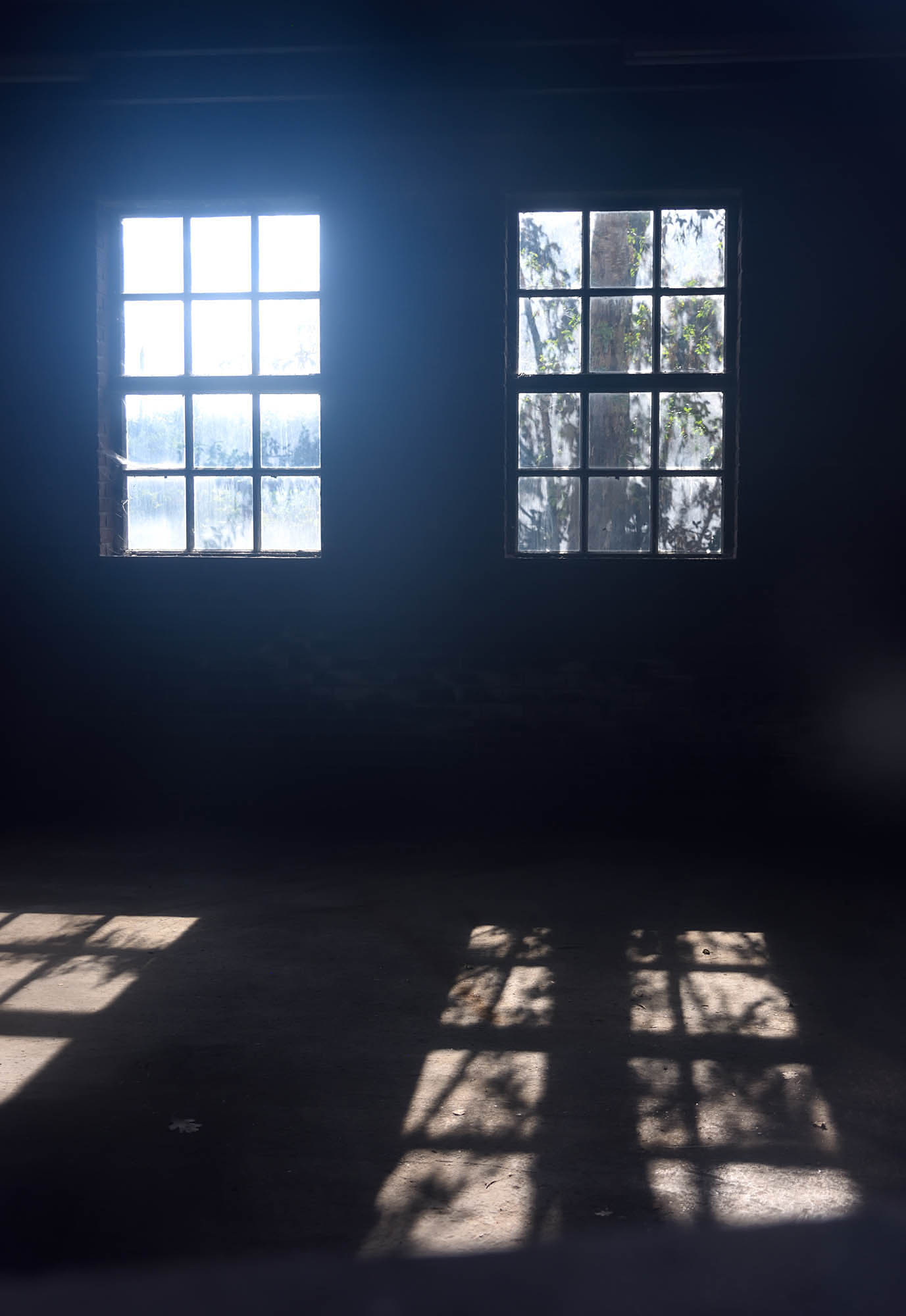 Window3.jpg
