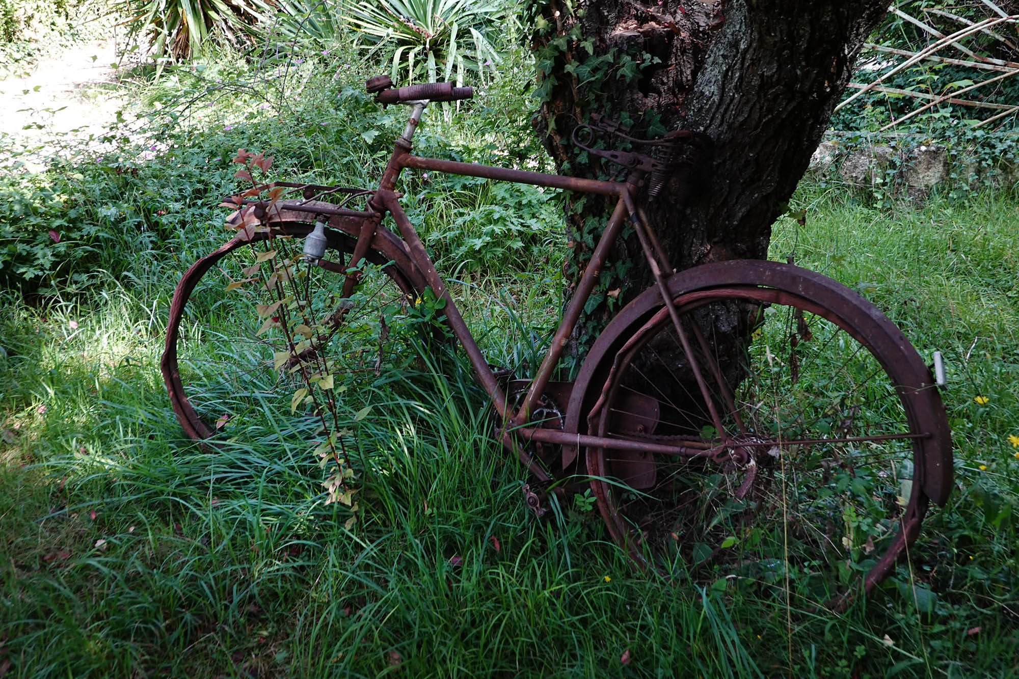 Garden3.jpg