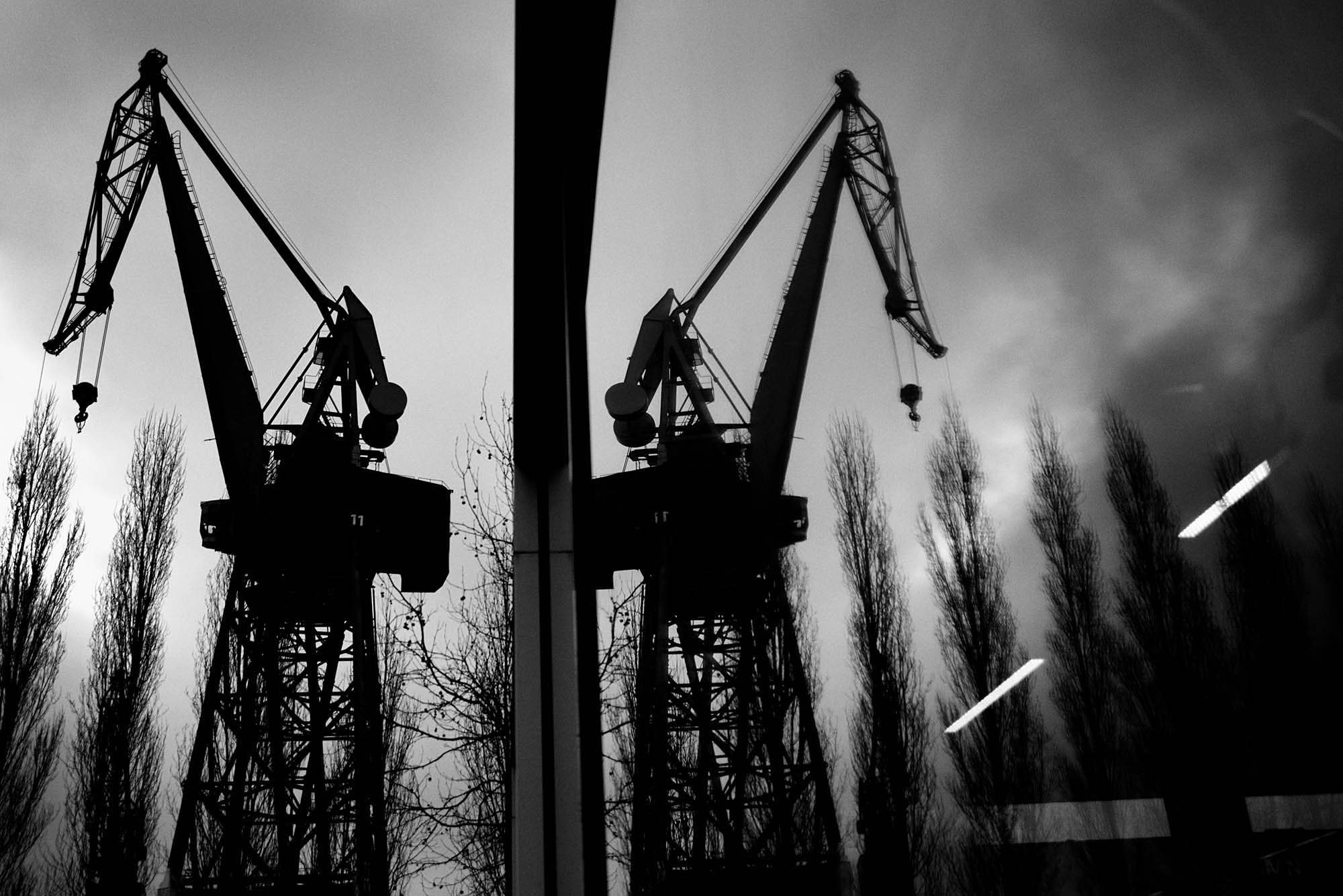 Crane1.jpg