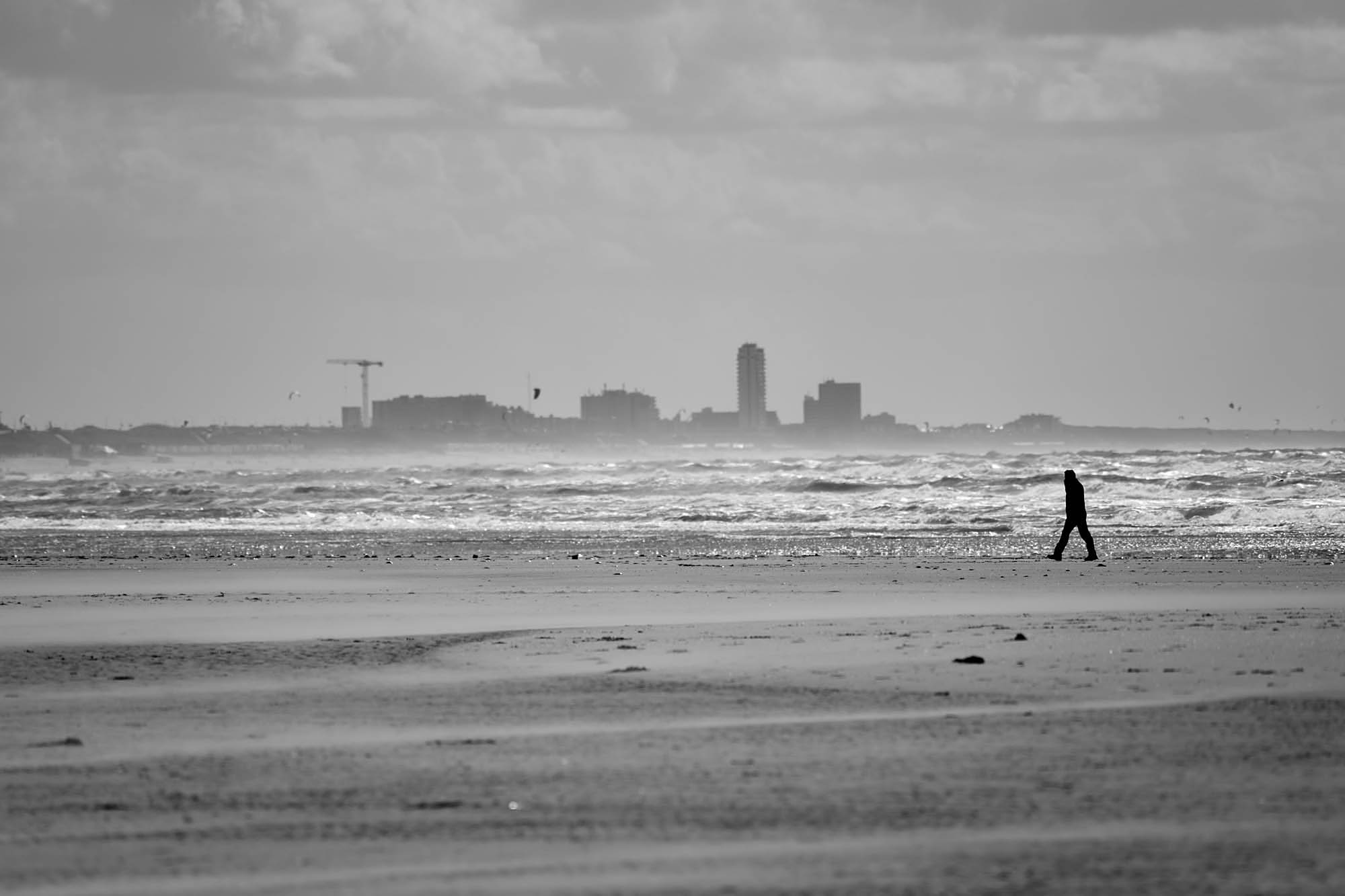 Walk2.jpg