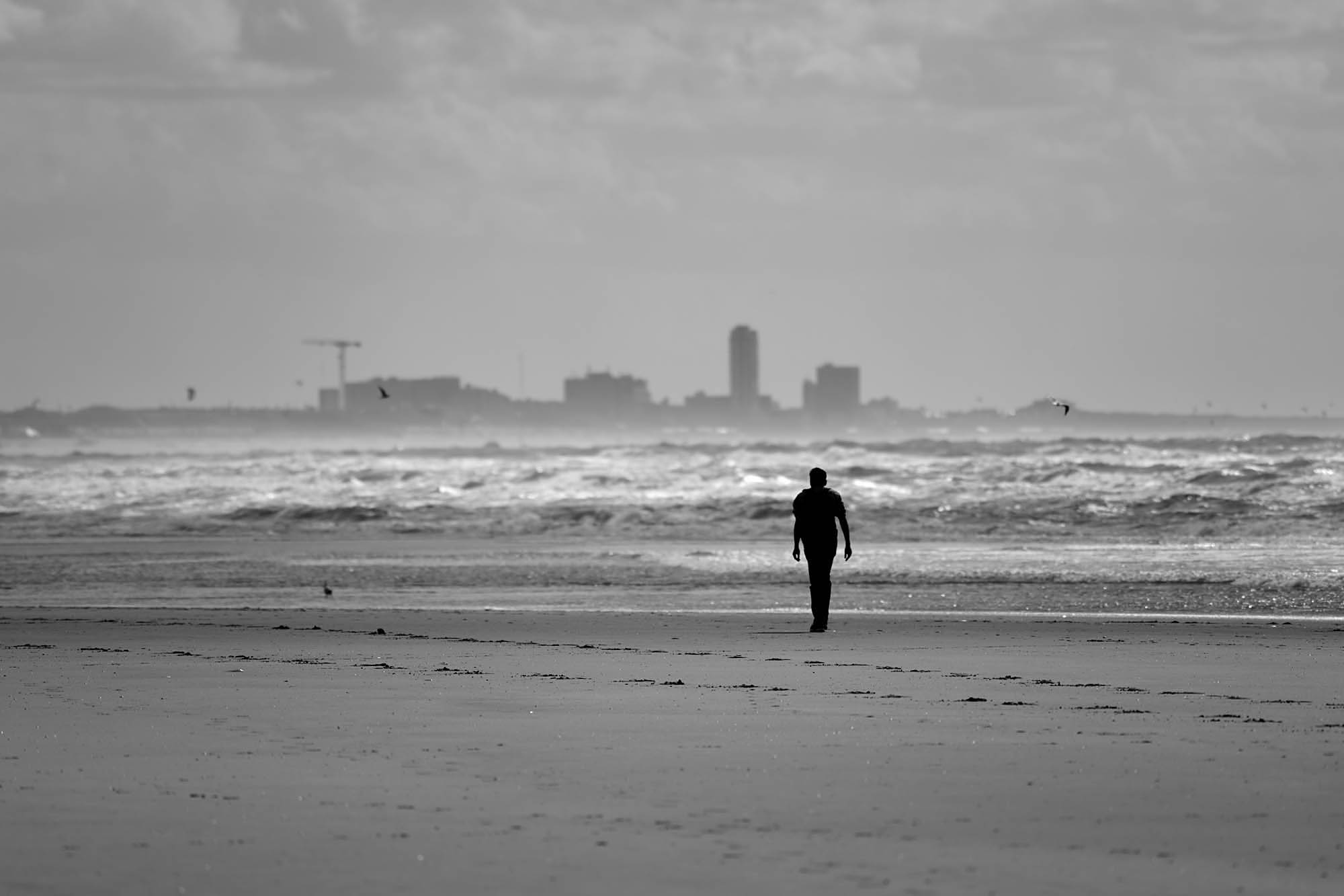 Walk1.jpg