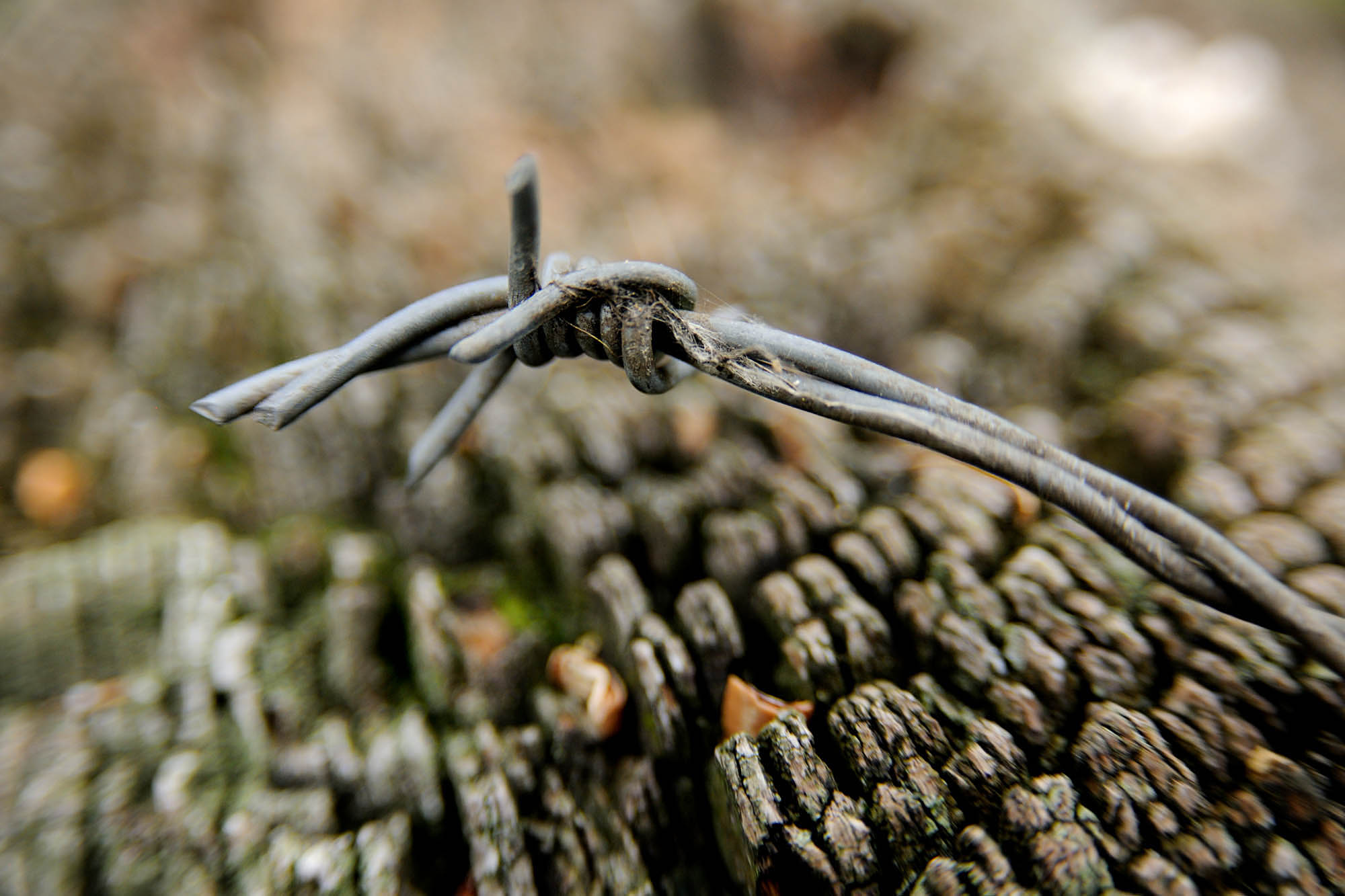 Details1.jpg