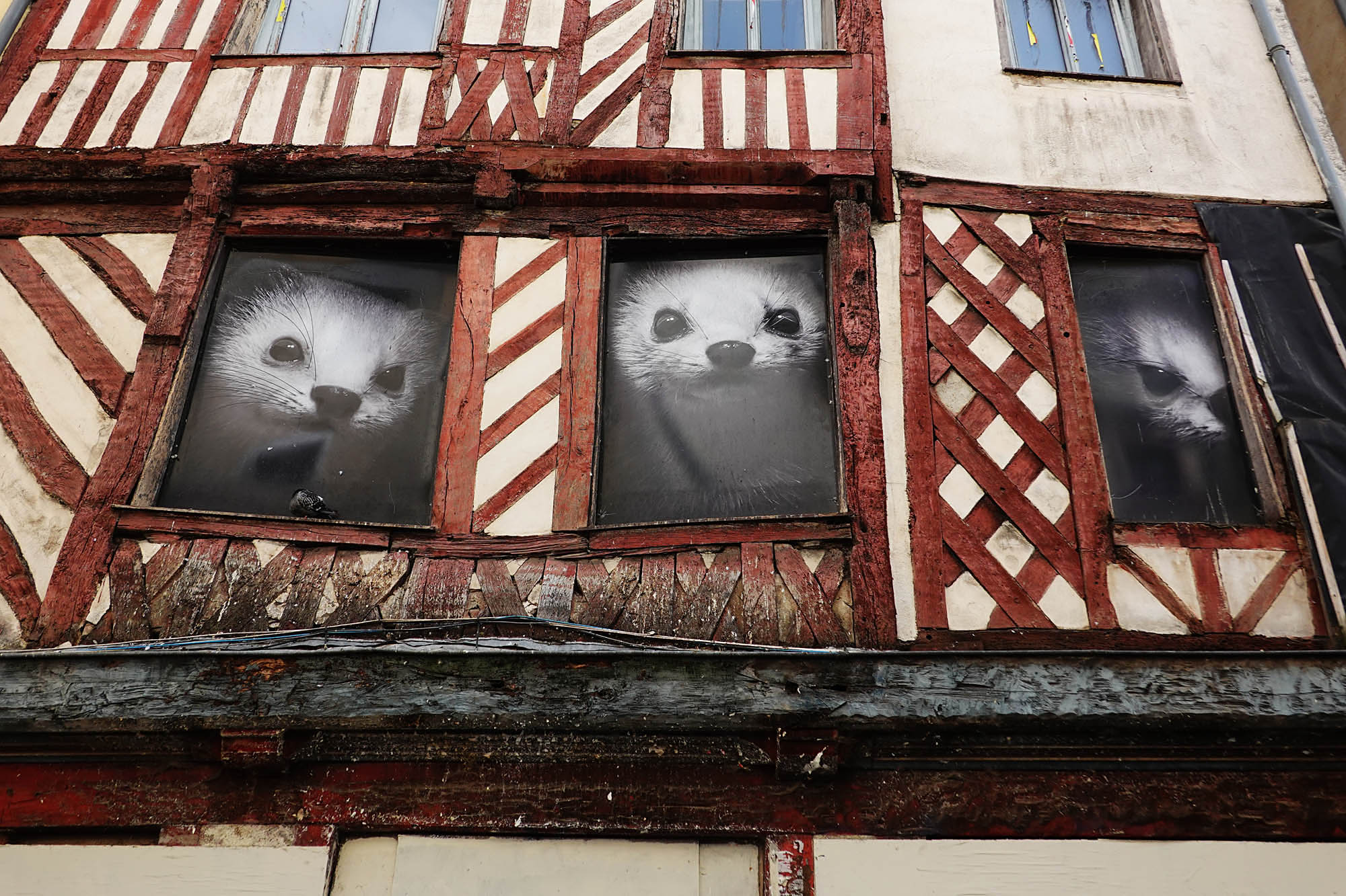 Rennes4.jpg