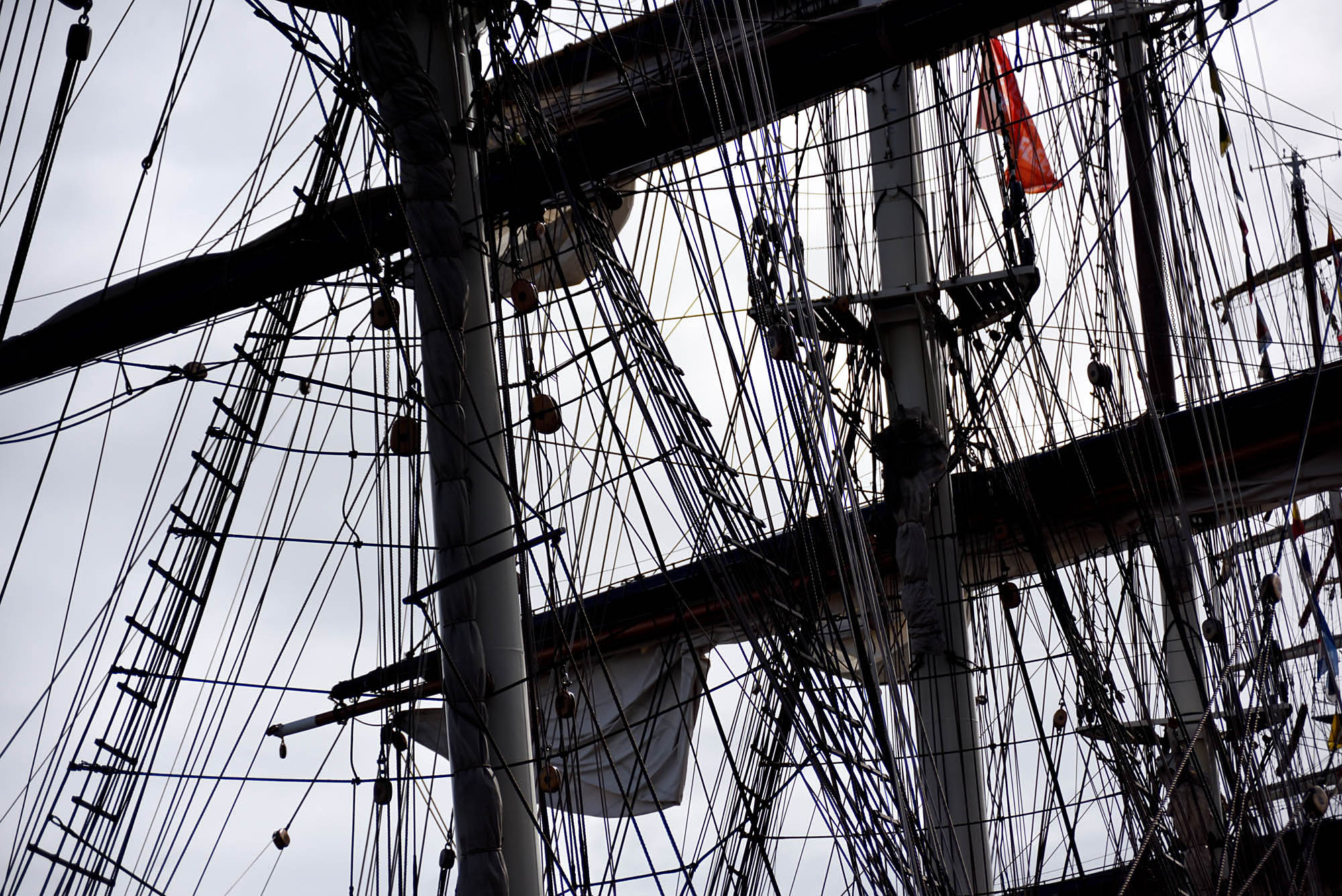 Sail5.jpg