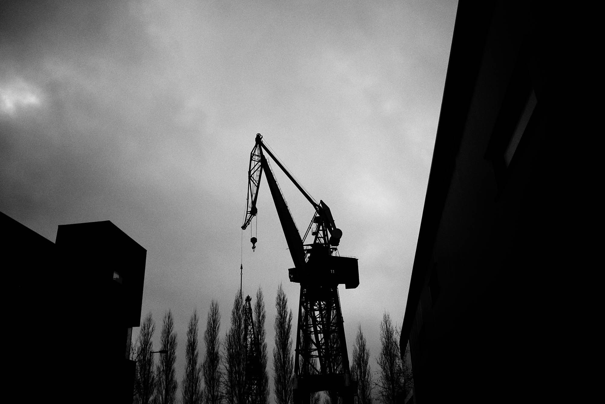 Crane4.jpg