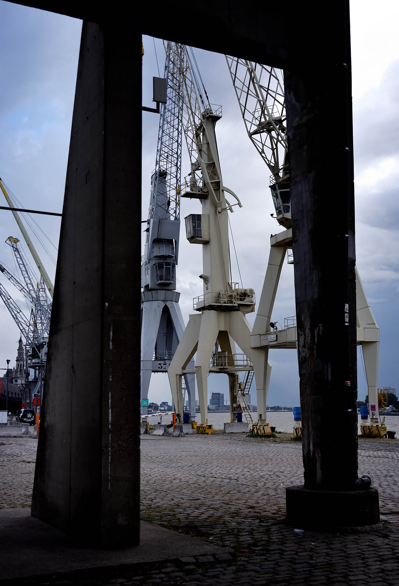 Cranes4.jpg