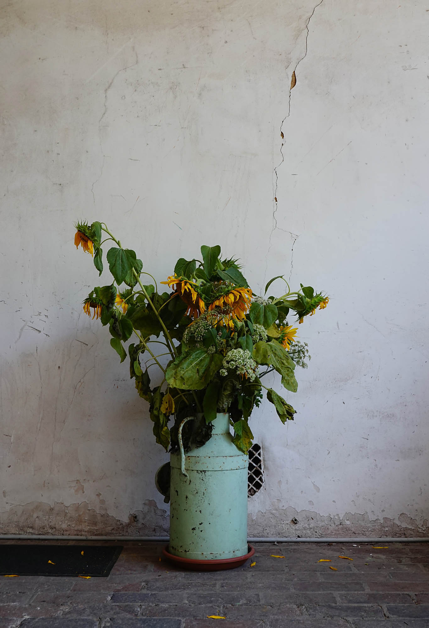 Garden2.jpg