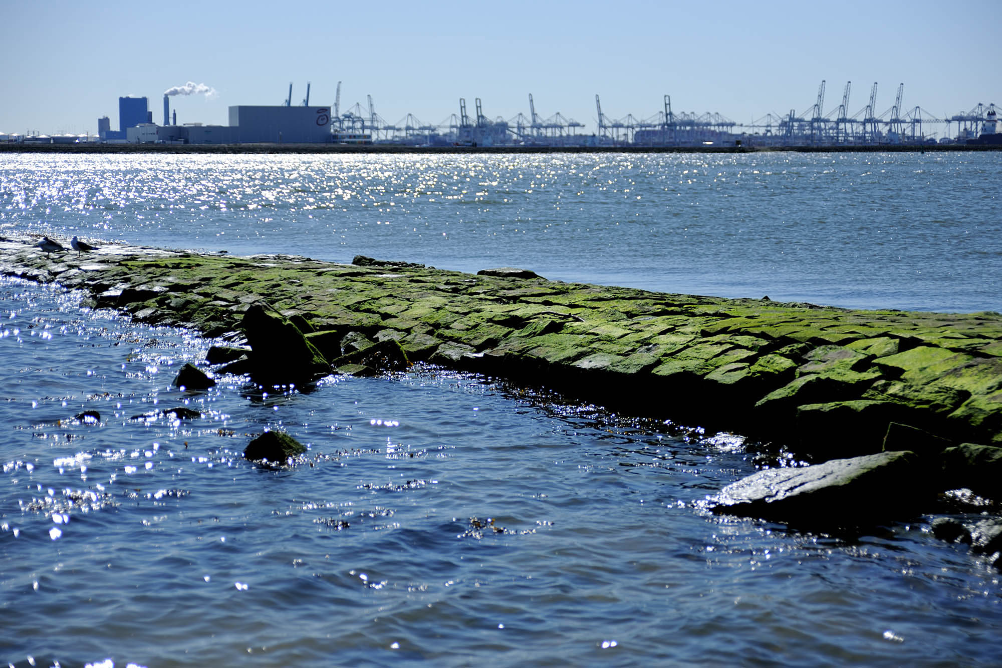 Stereo3.jp…
Payout: 0.000 HBDGreen Rocks.
2025-10-27 15:17Hoek van Holland, the Netherlands. ![Green1.jpg