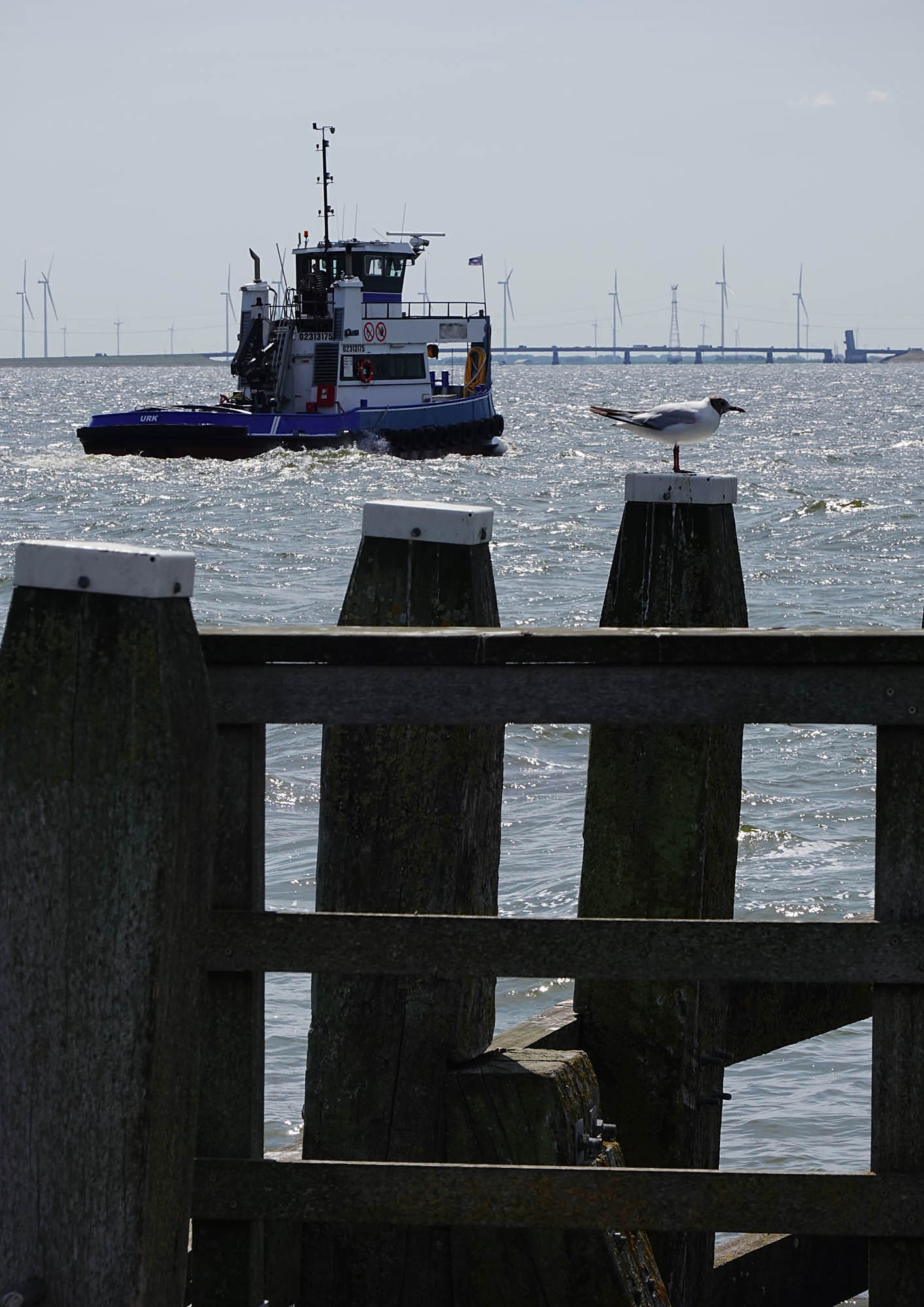 Urk8.jpg